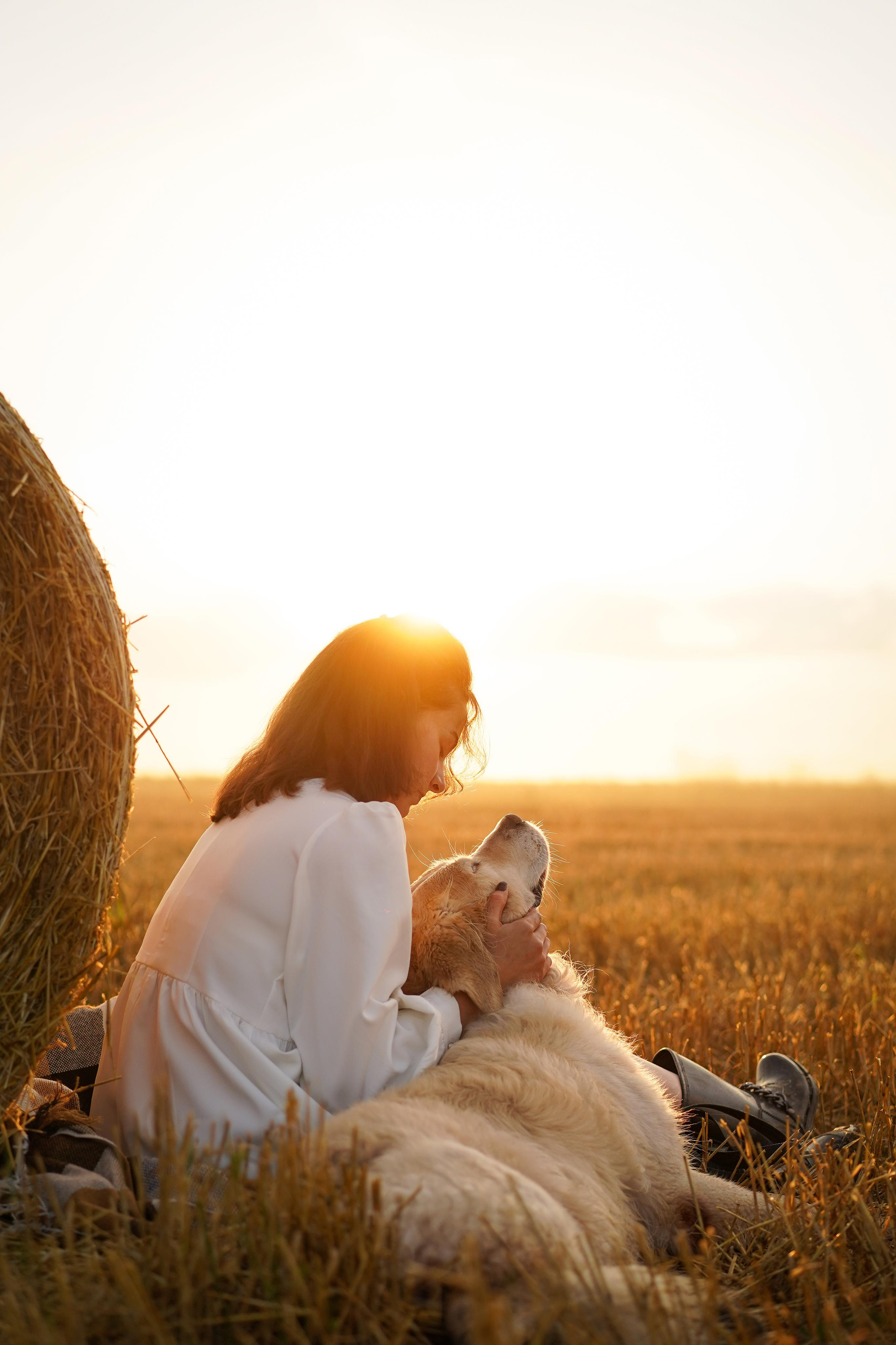 Настя и Арчи в полях. Фотограф-анималист в Санкт-Петербурге Яна Мартынова