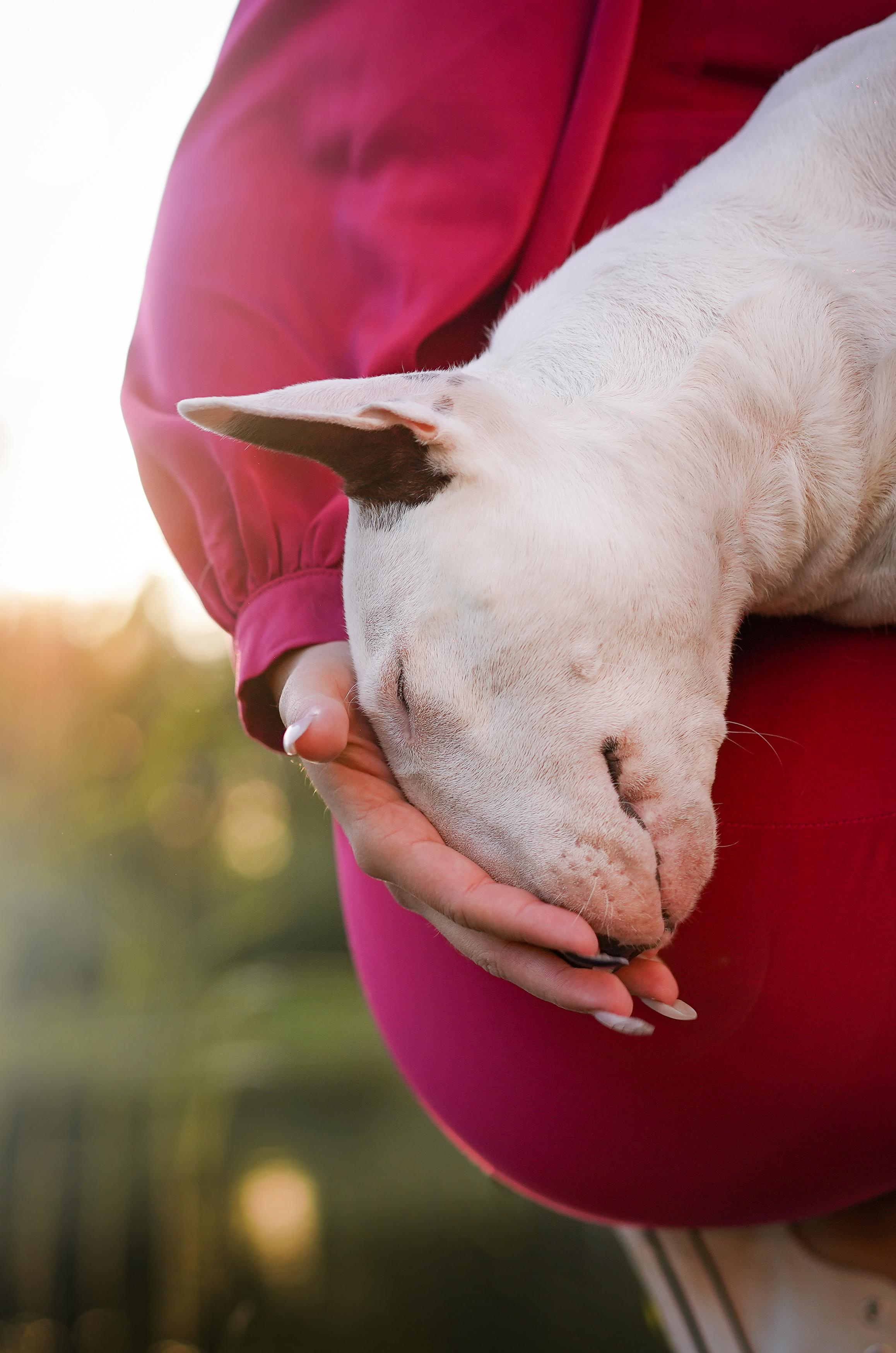 Таисия и Баля. Фотограф-анималист в Санкт-Петербурге Яна Мартынова
