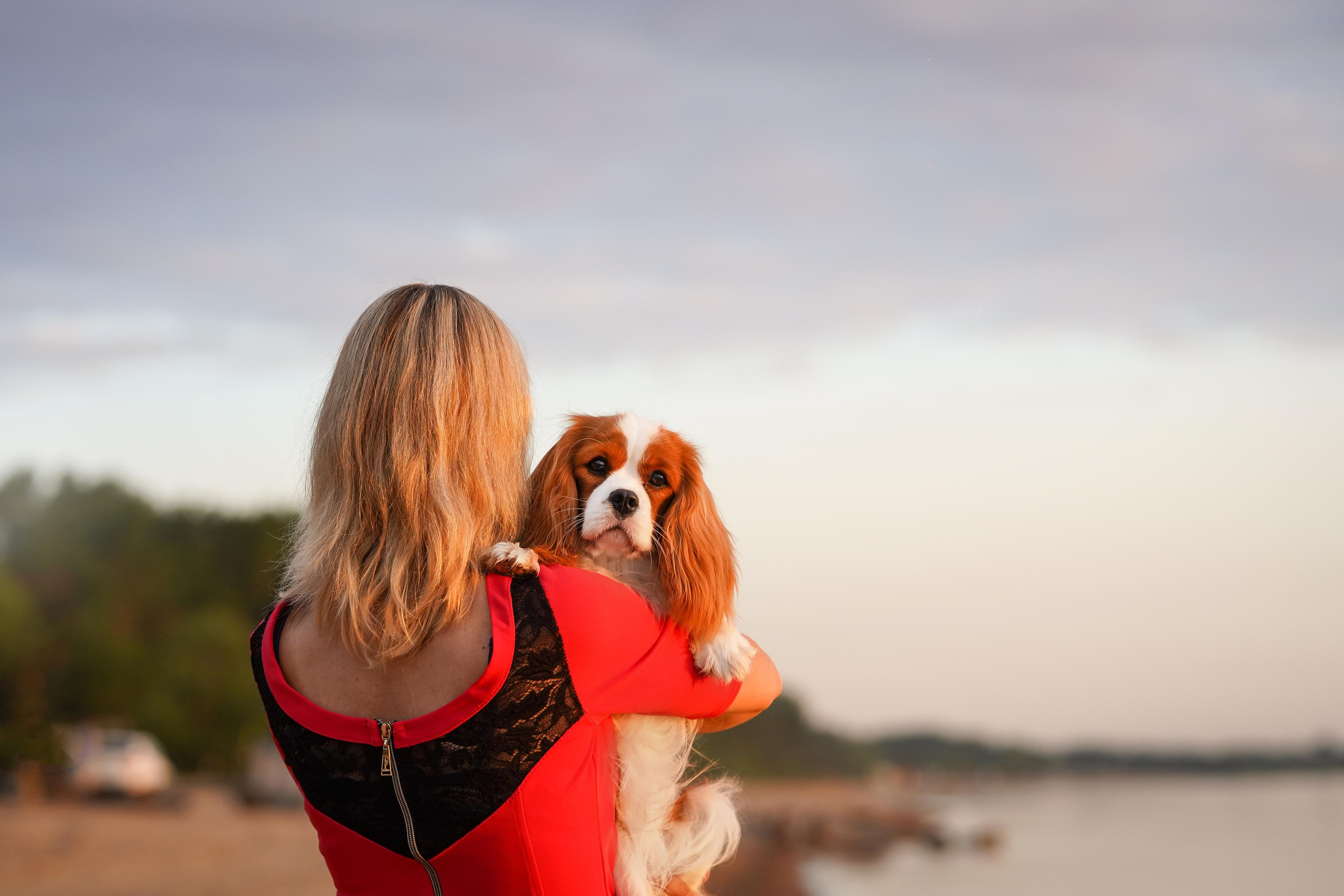Катя, Злата и Луна. Фотограф-анималист в Санкт-Петербурге Яна Мартынова