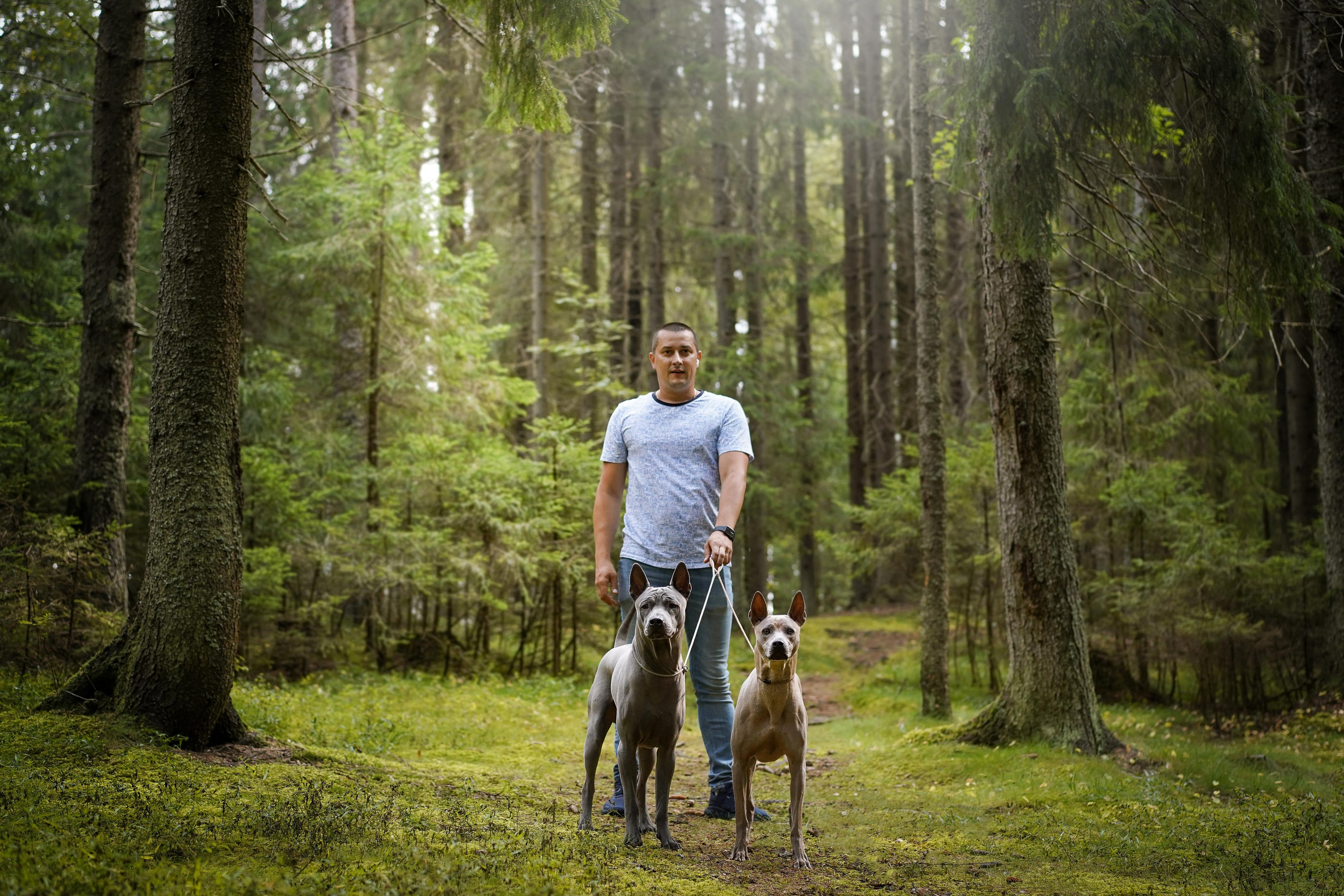 Юля Дима Грей и Тоффи. Фотограф-анималист в Санкт-Петербурге Яна Мартынова