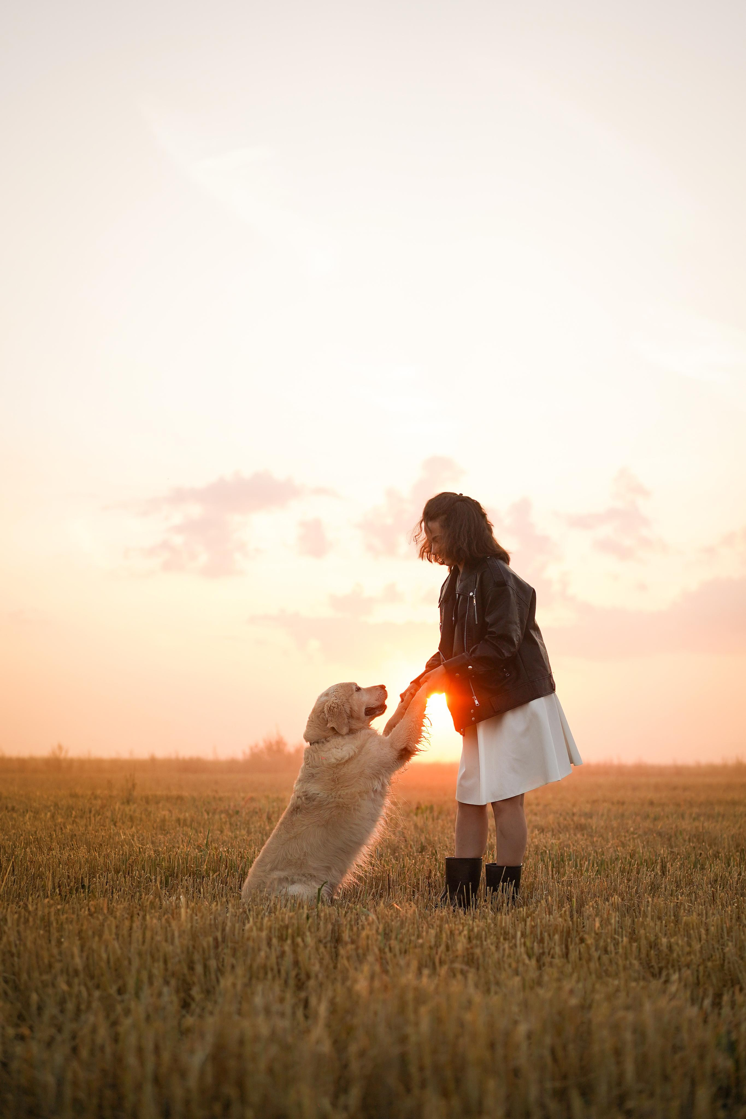 Настя и Арчи в полях. Фотограф-анималист в Санкт-Петербурге Яна Мартынова