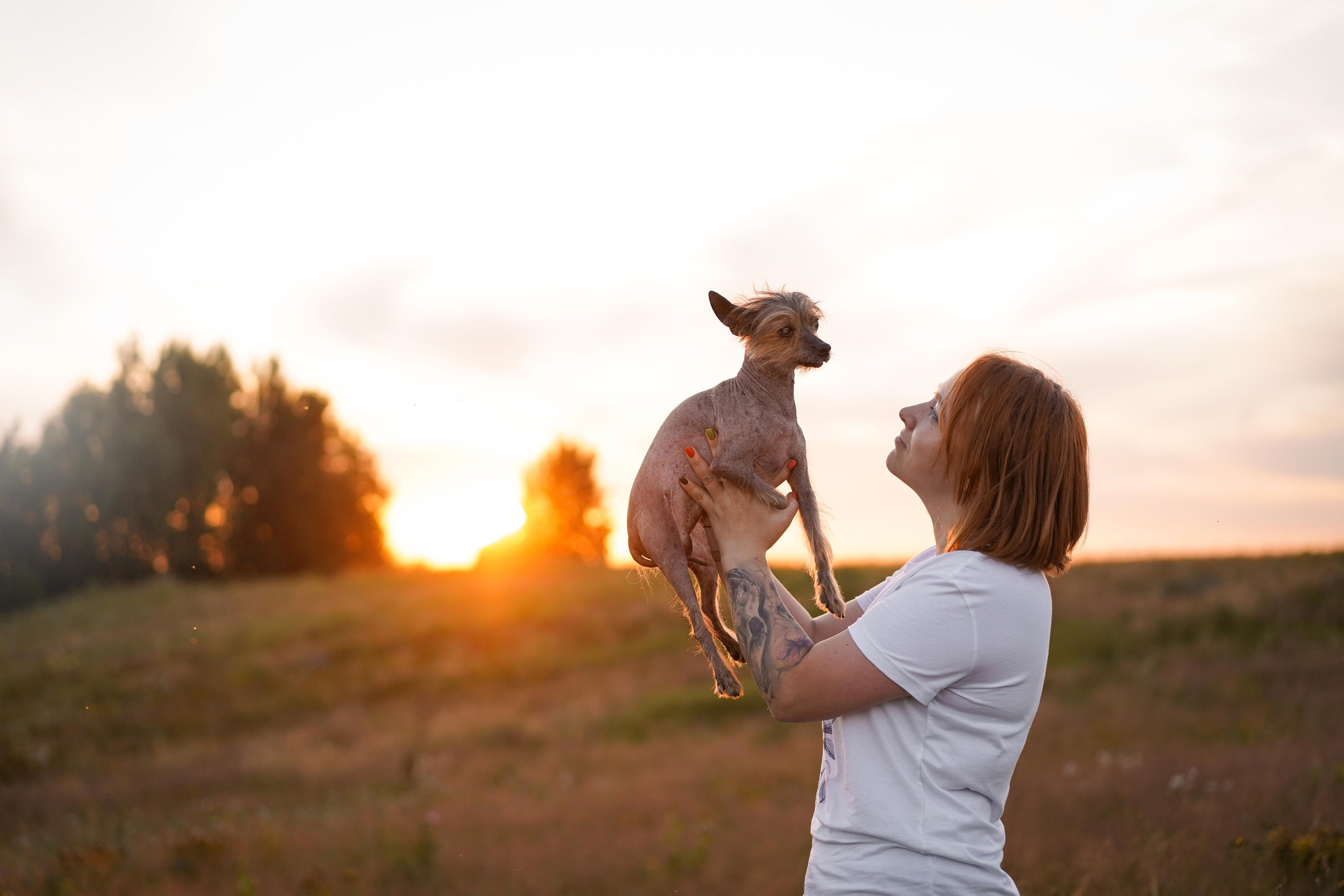 Оля Миша и песели. Фотограф-анималист в Санкт-Петербурге Яна Мартынова