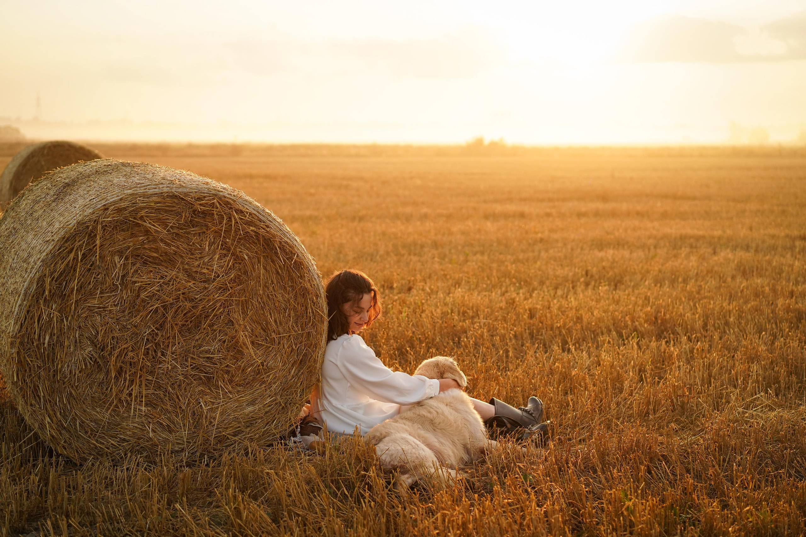 Настя и Арчи в полях. Фотограф-анималист в Санкт-Петербурге Яна Мартынова