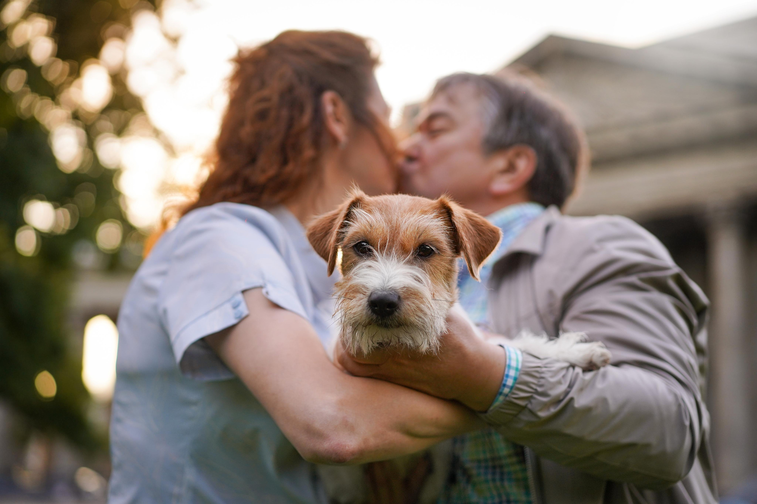 Андрей Ильгиза и Гая. Фотограф-анималист в Санкт-Петербурге Яна Мартынова