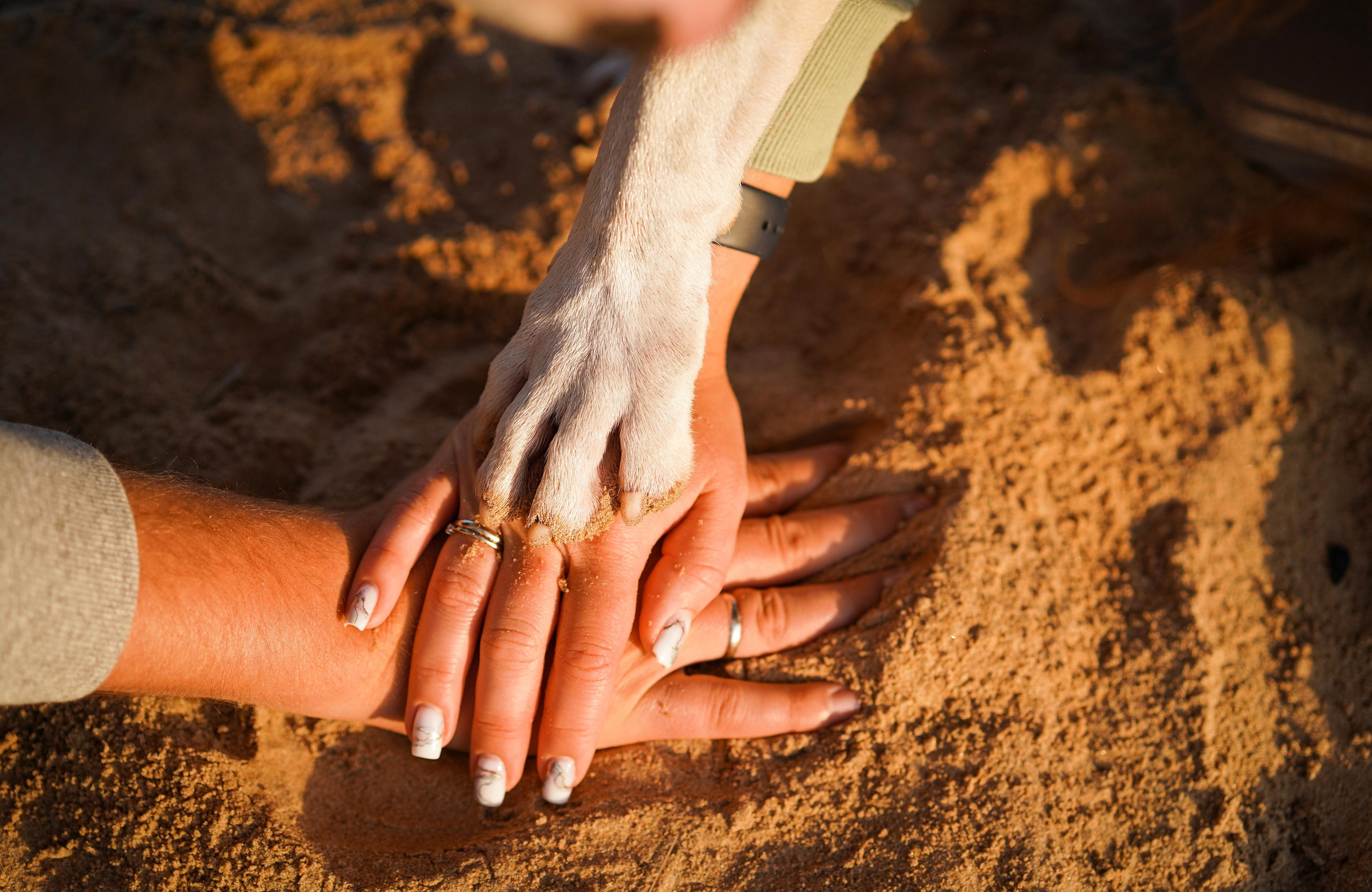 Настя Рома и Сахар. Фотограф-анималист в Санкт-Петербурге Яна Мартынова