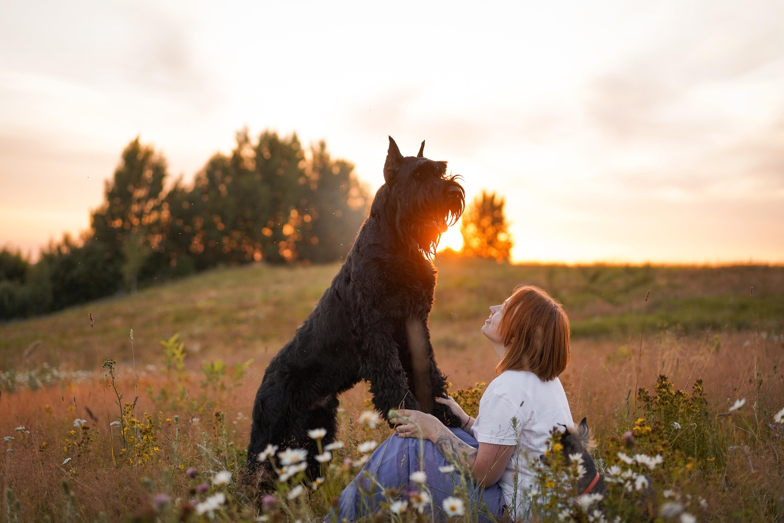 Оля Миша и песели. Фотограф-анималист в Санкт-Петербурге Яна Мартынова
