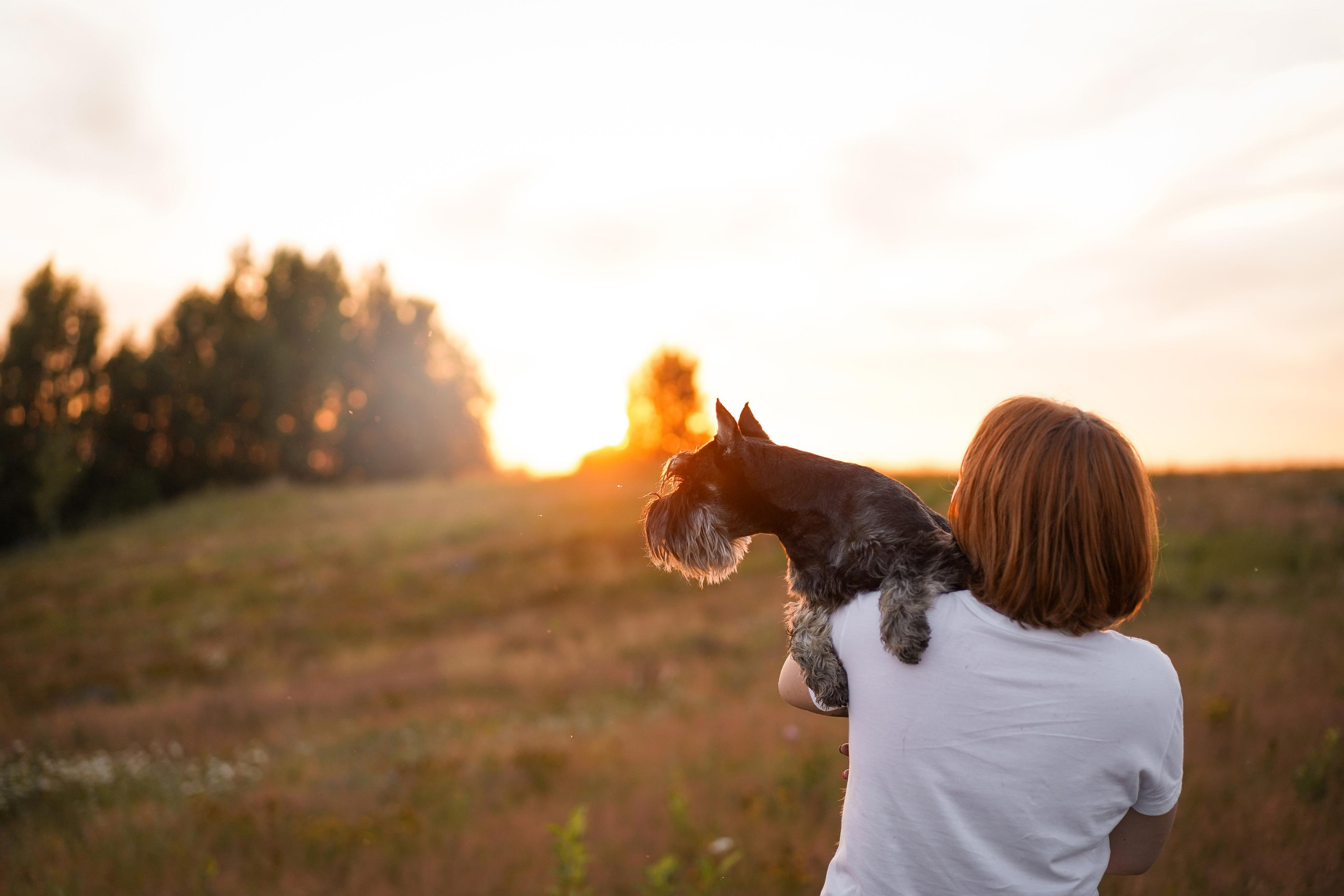Оля Миша и песели. Фотограф-анималист в Санкт-Петербурге Яна Мартынова