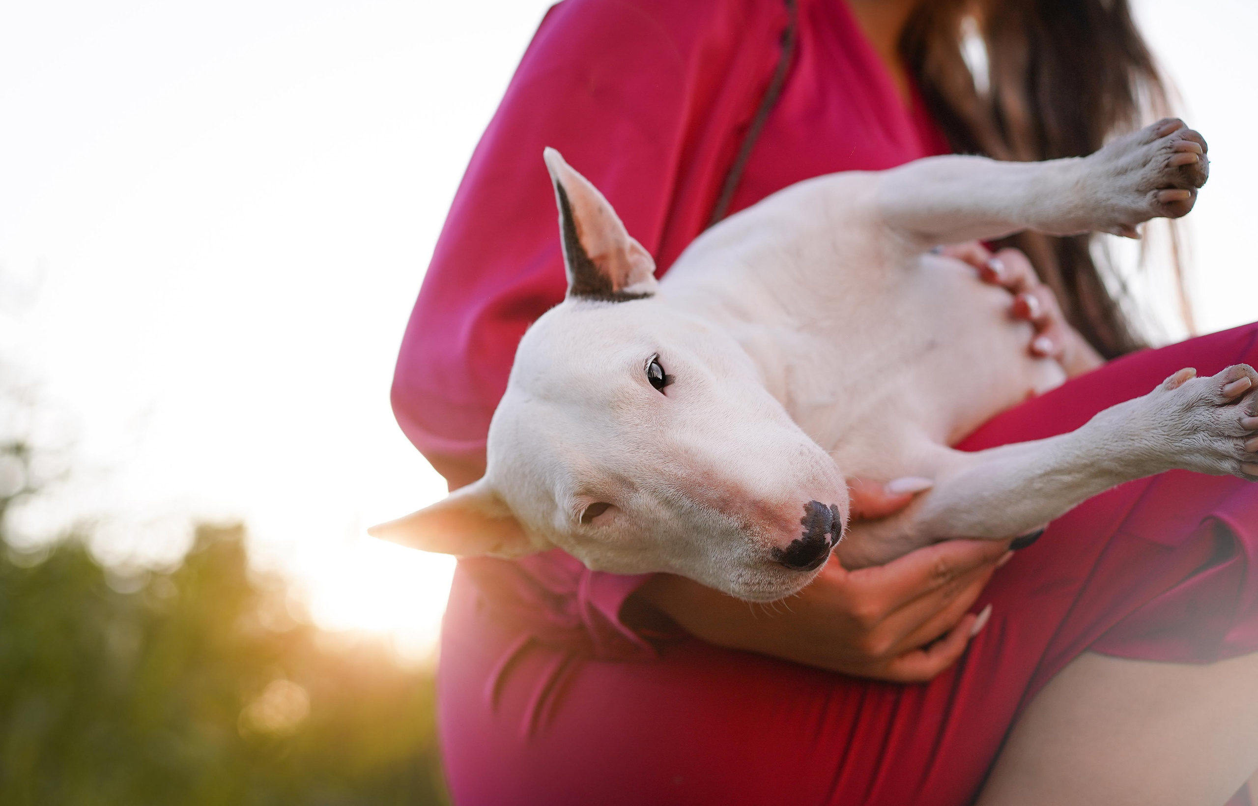 Таисия и Баля. Фотограф-анималист в Санкт-Петербурге Яна Мартынова