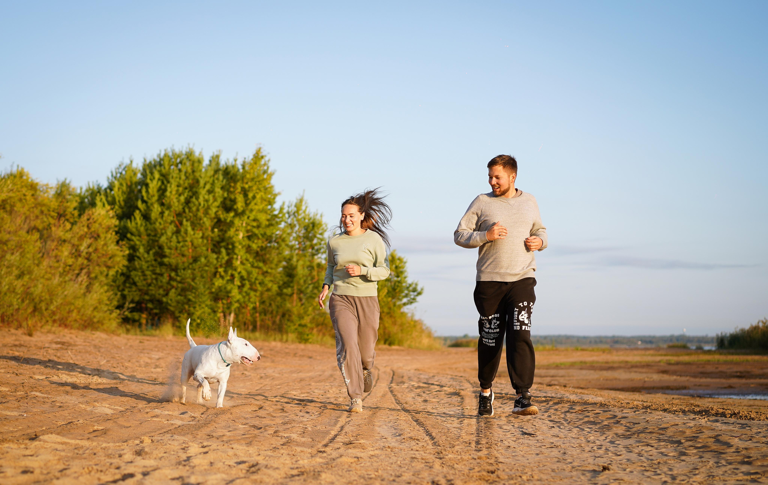Настя Рома и Сахар. Фотограф-анималист в Санкт-Петербурге Яна Мартынова