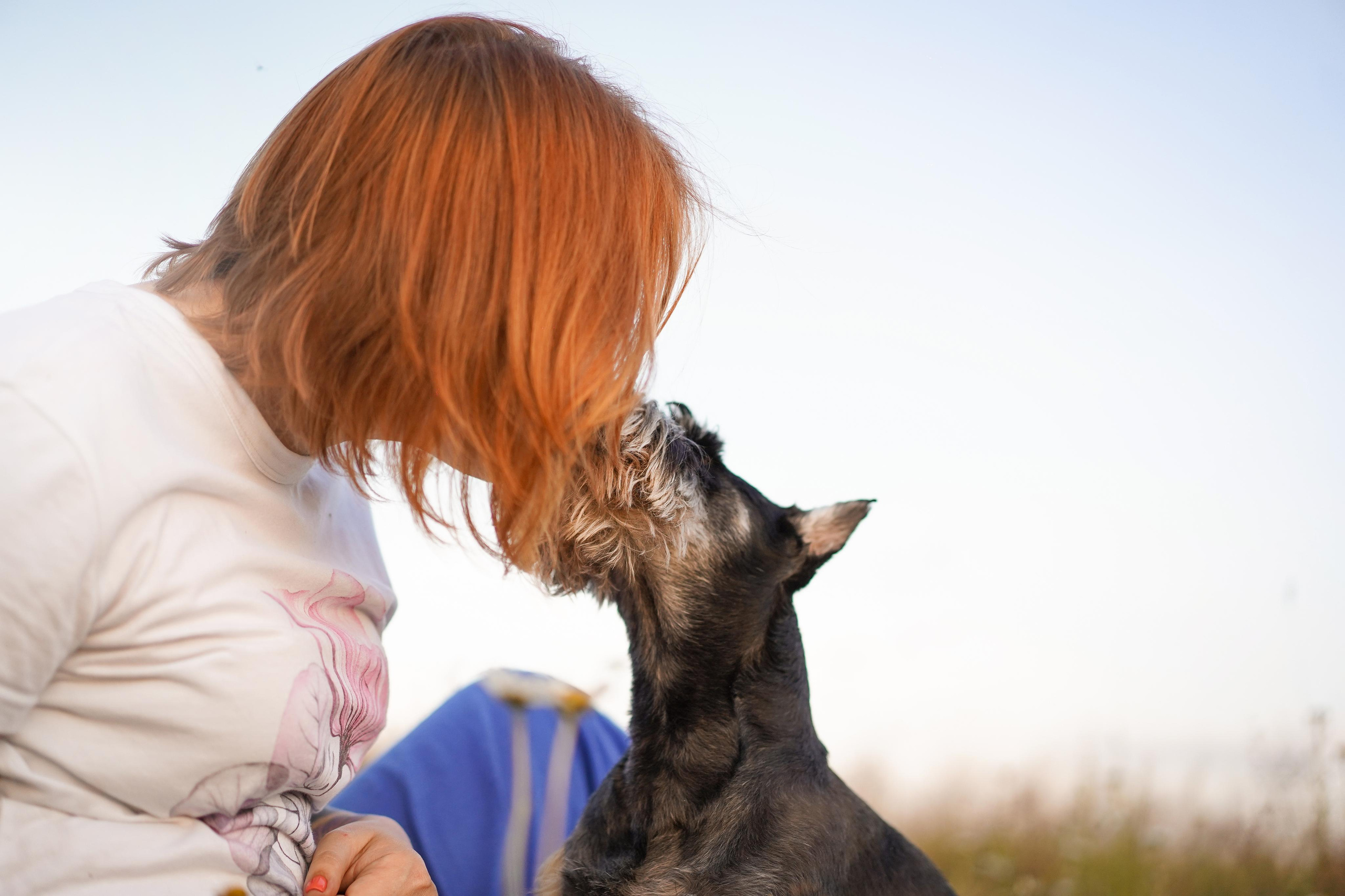 Оля Миша и песели. Фотограф-анималист в Санкт-Петербурге Яна Мартынова