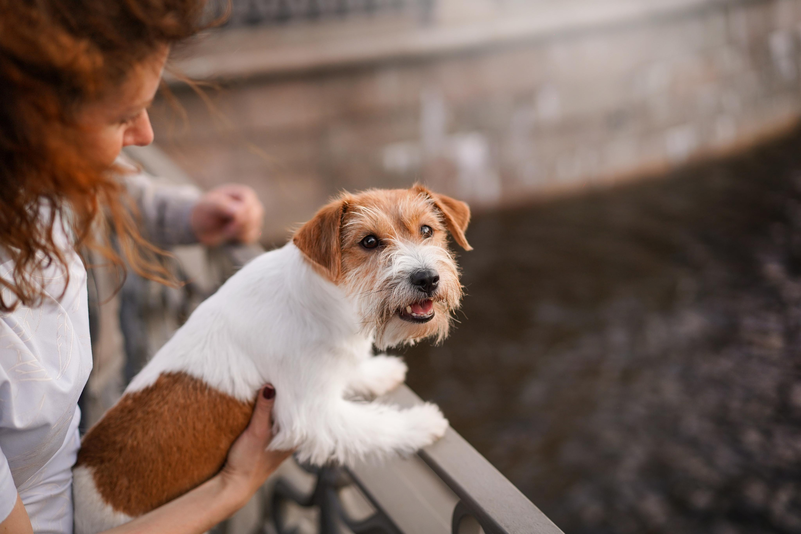 Андрей Ильгиза и Гая. Фотограф-анималист в Санкт-Петербурге Яна Мартынова