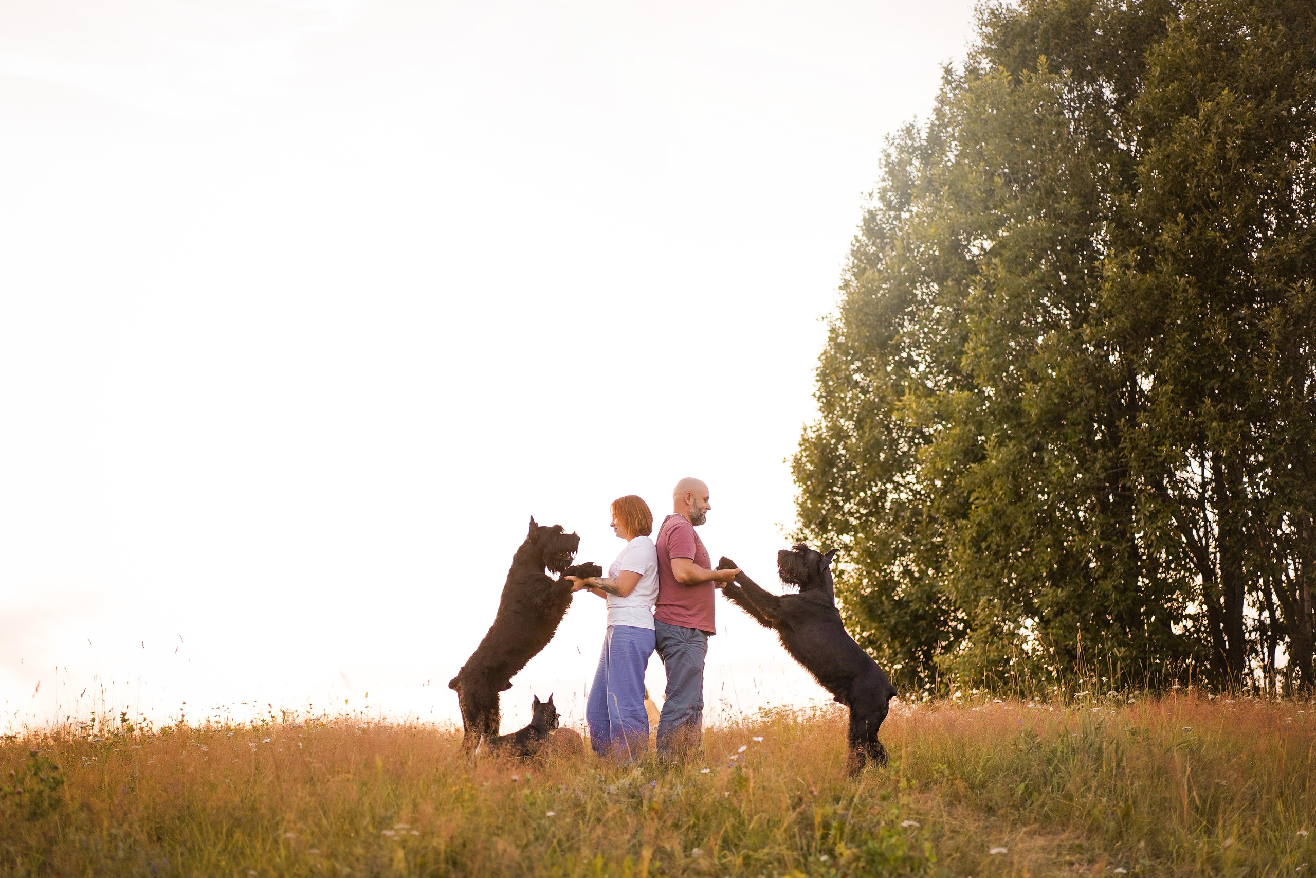 Оля Миша и песели. Фотограф-анималист в Санкт-Петербурге Яна Мартынова