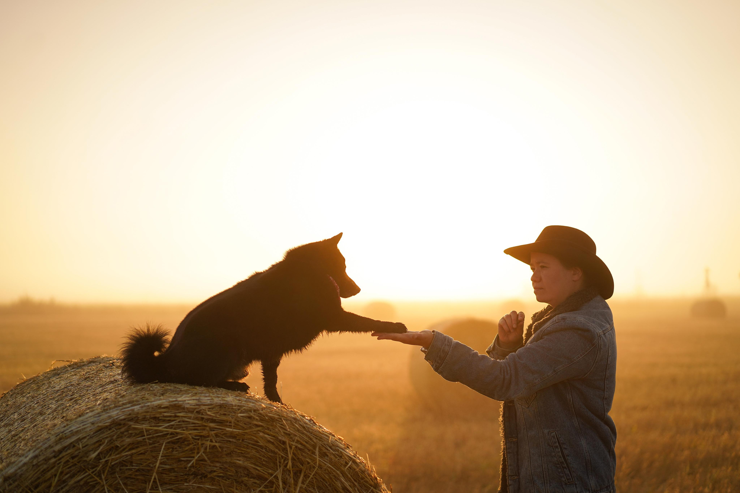 Аня и Арчи. Фотограф-анималист в Санкт-Петербурге Яна Мартынова