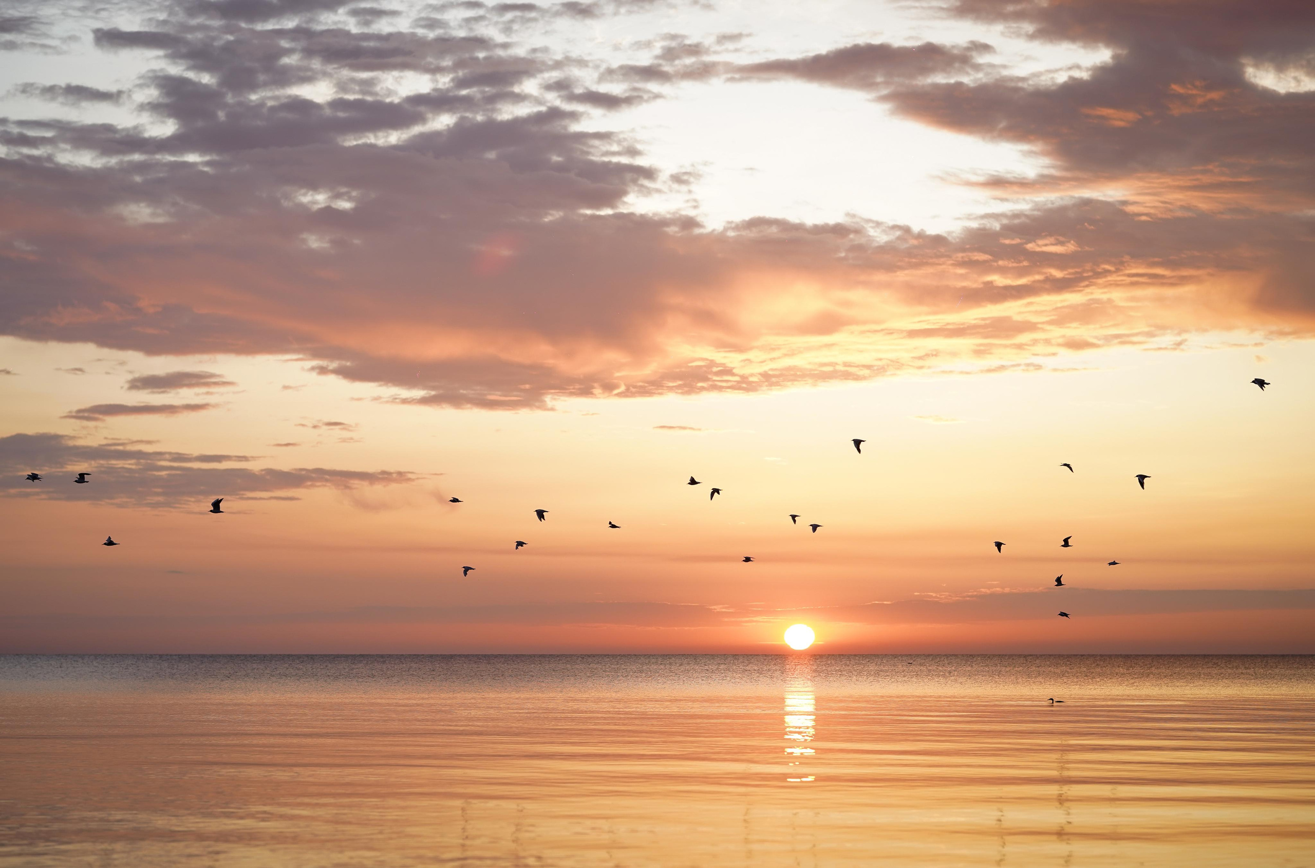 Катя, Злата и Луна. Фотограф-анималист в Санкт-Петербурге Яна Мартынова
