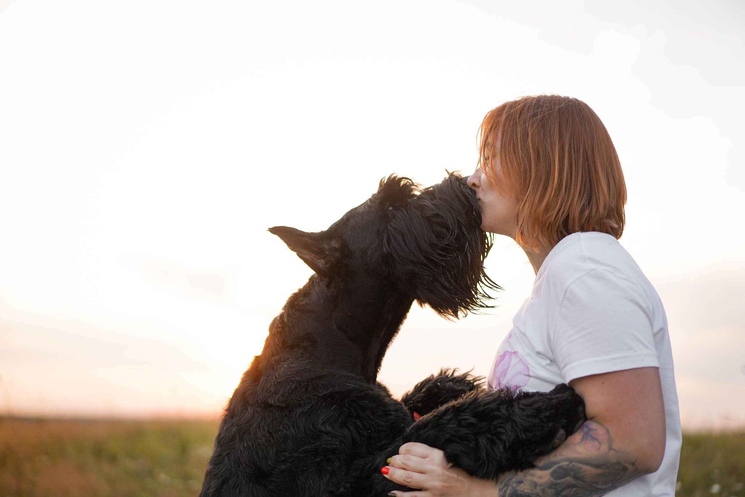 Оля Миша и песели. Фотограф-анималист в Санкт-Петербурге Яна Мартынова