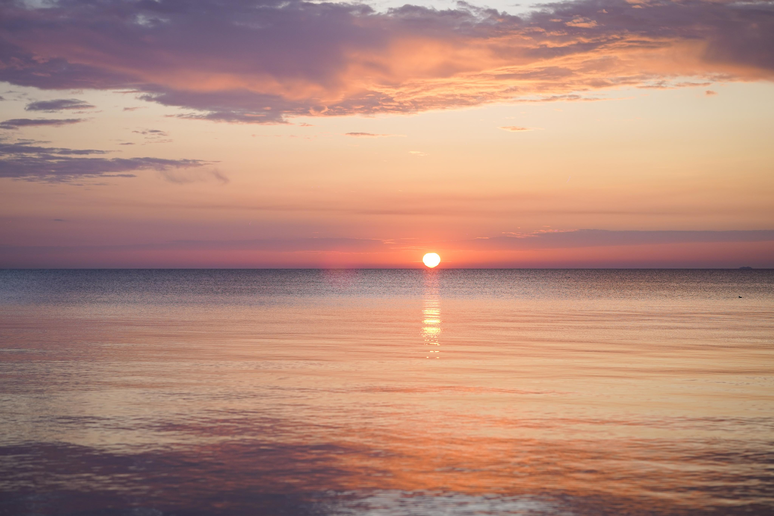 Катя, Злата и Луна. Фотограф-анималист в Санкт-Петербурге Яна Мартынова
