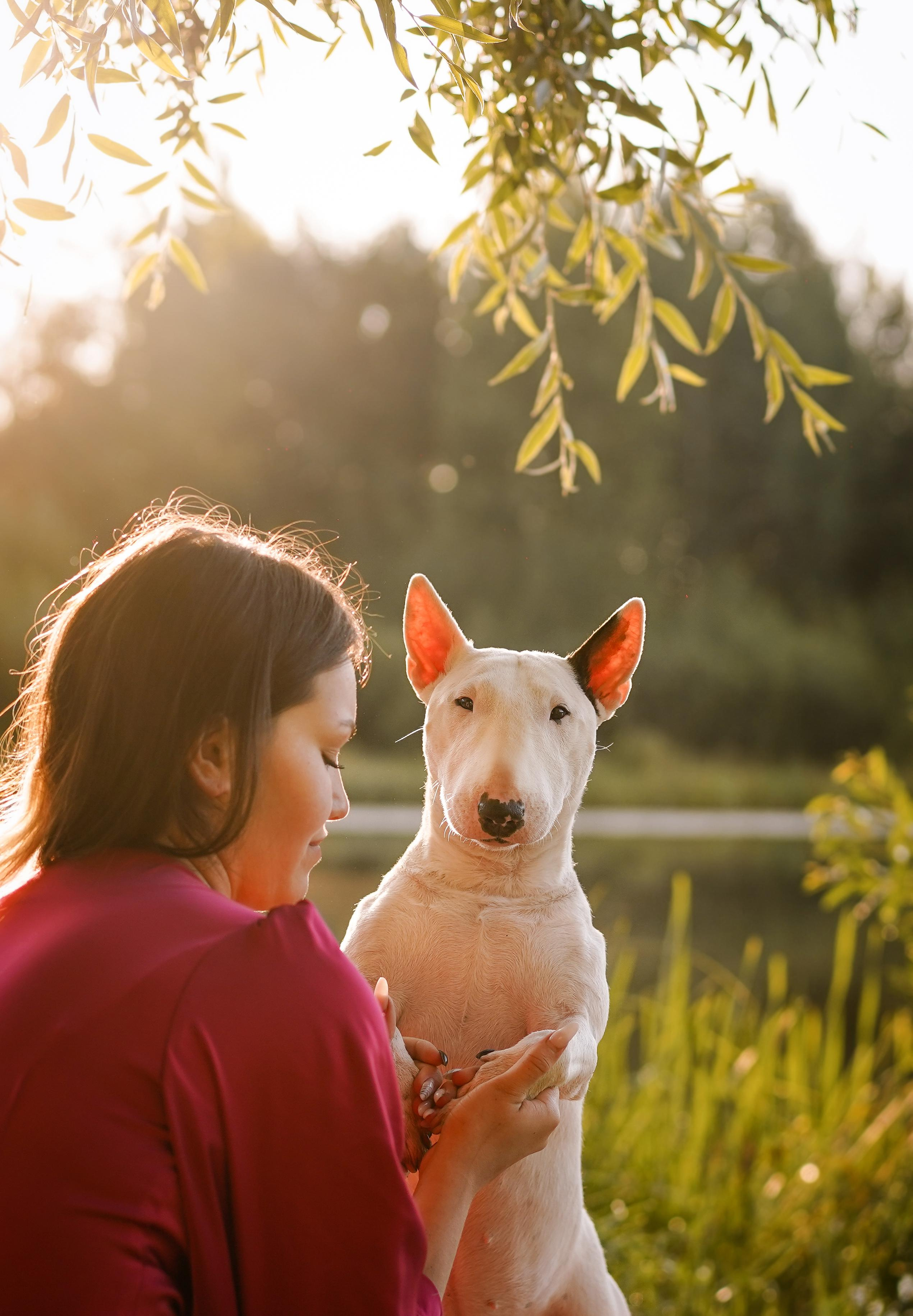 Таисия и Баля. Фотограф-анималист в Санкт-Петербурге Яна Мартынова