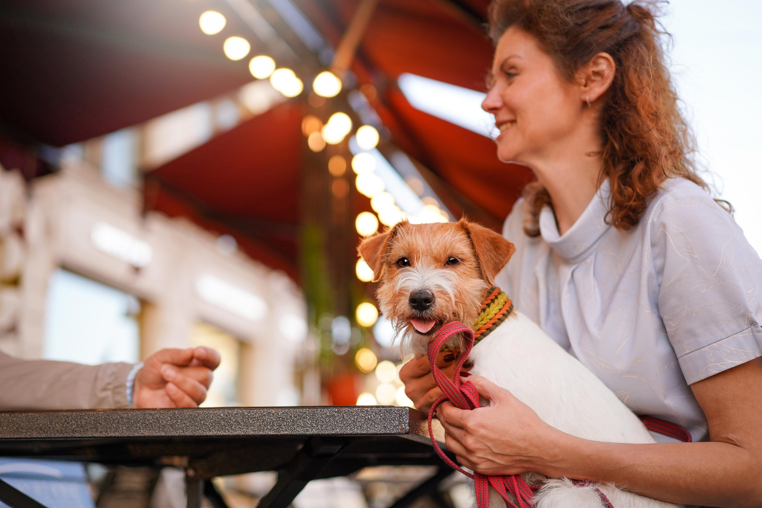 Андрей Ильгиза и Гая. Фотограф-анималист в Санкт-Петербурге Яна Мартынова
