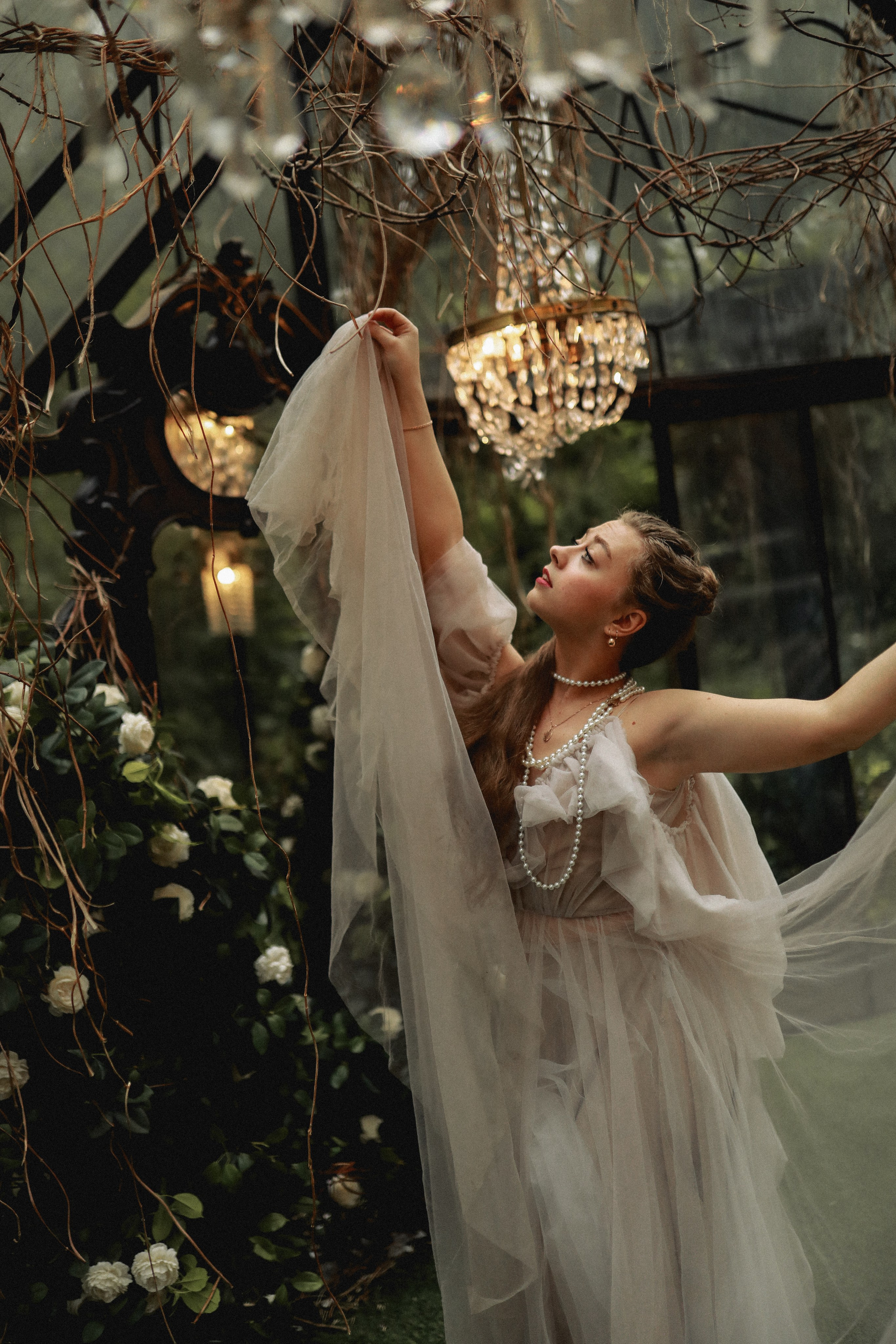 Зачарованный лес