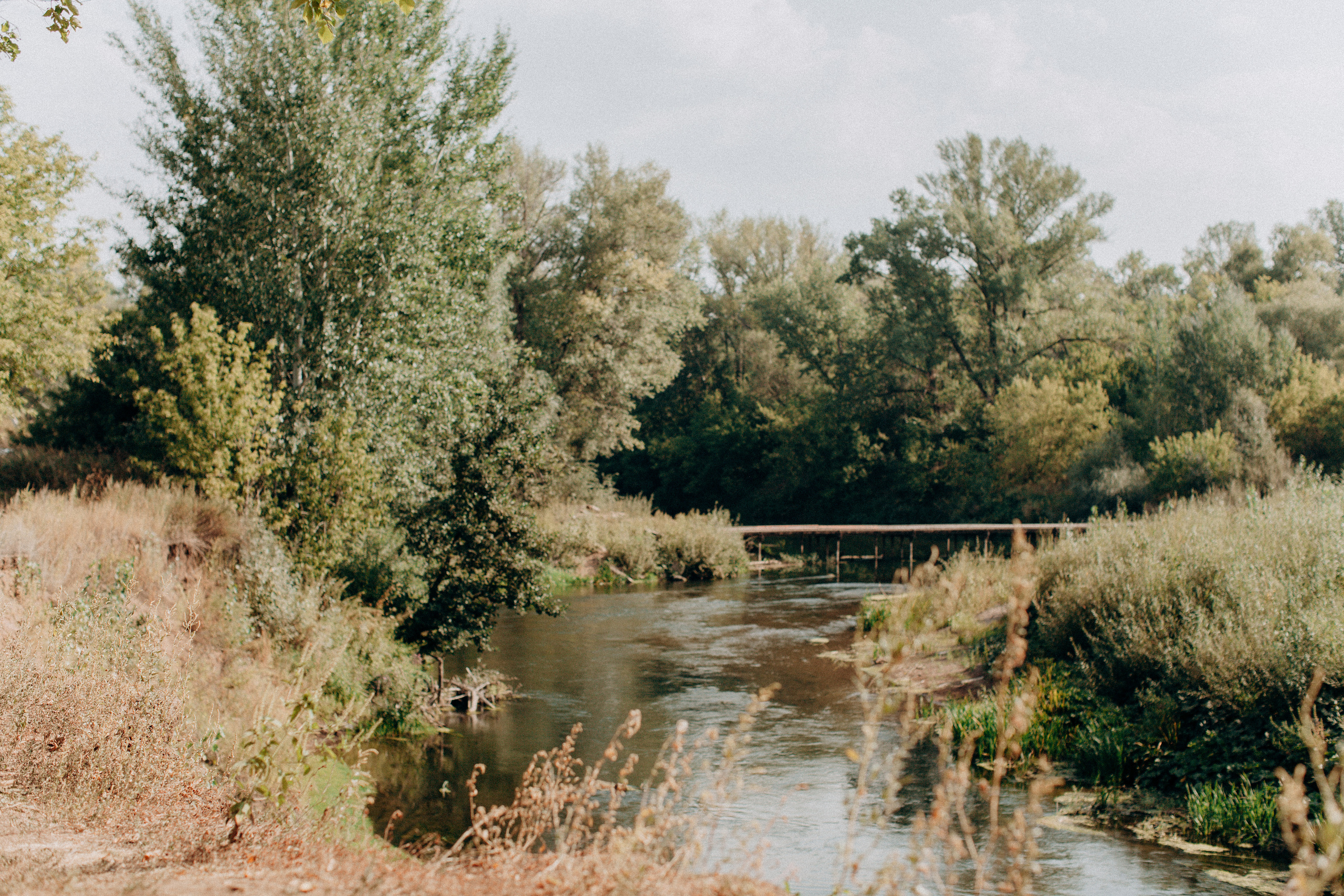 Свадебный фотограф. Отрадный. Свадебный и семейный фотограф в Самаре и Сочи