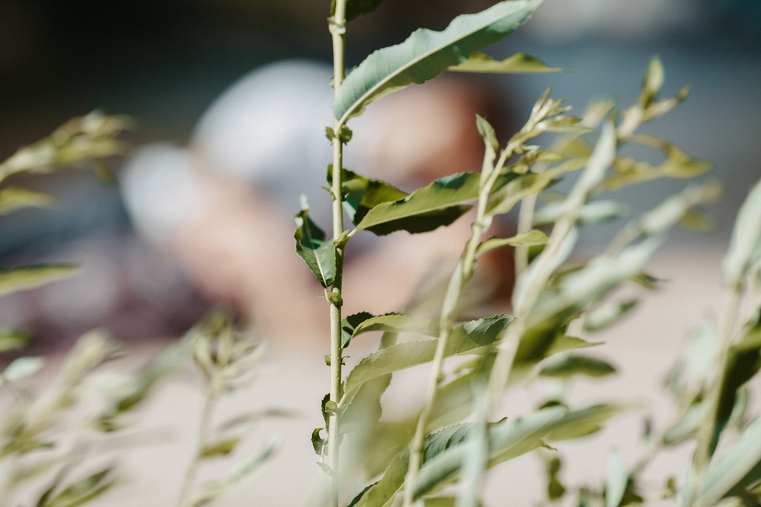 Фотосессия для двоих. Фотограф в Самаре. Свадебный и семейный фотограф в Самаре и Сочи