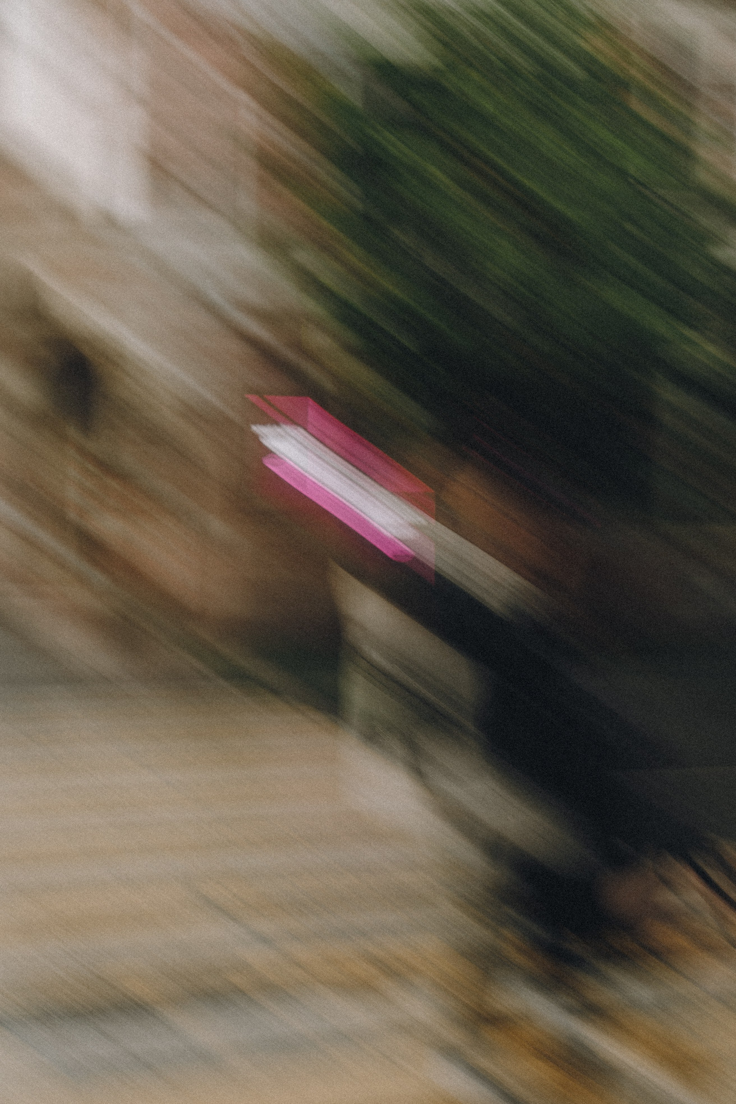 ЛЮБОВЬ В ИЮНЕ. Профессиональный фотограф, Санкт-Петербург — Виктория Богомолова