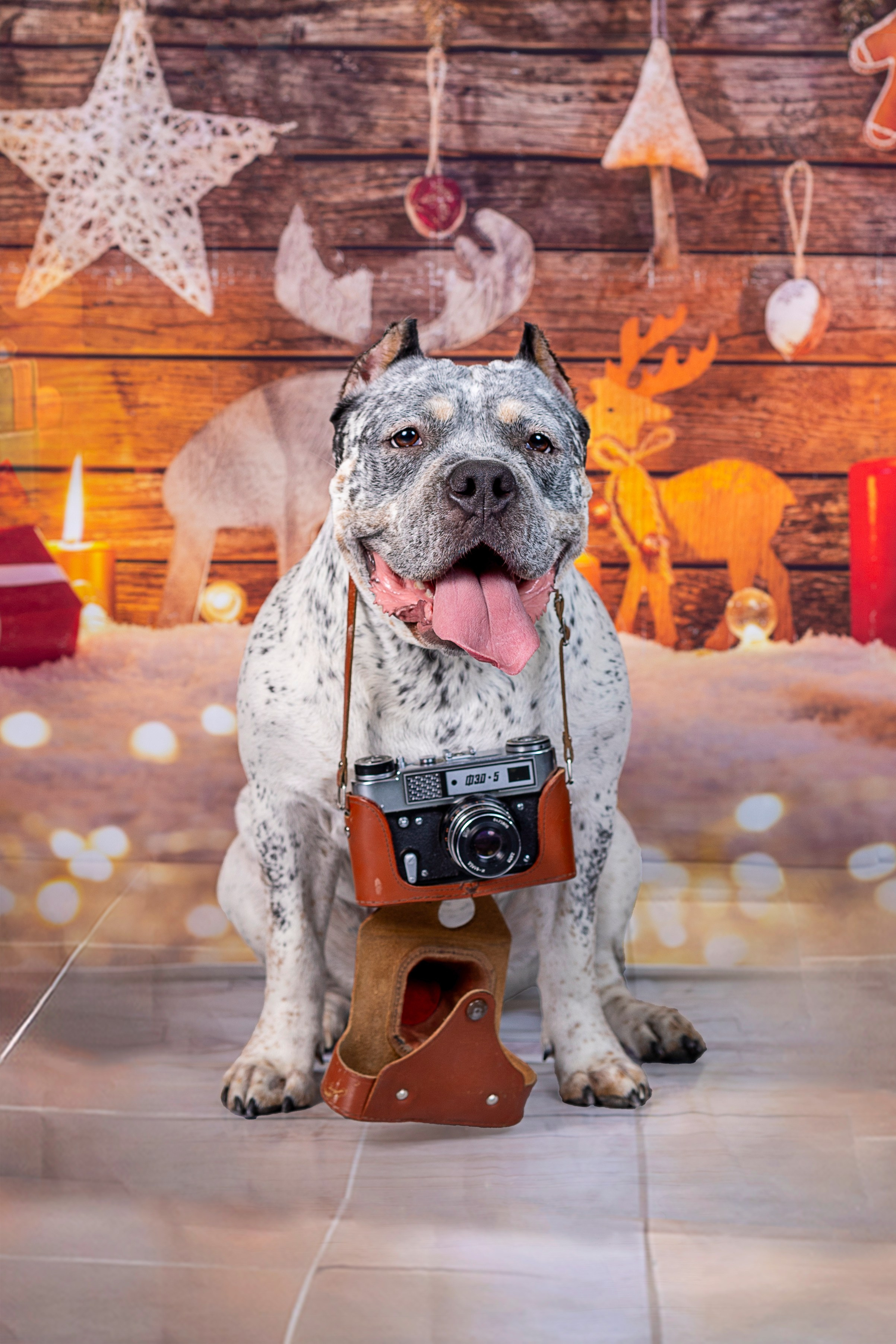 Катерина и ее любимцы. Фотограф 📸 семейный, предметный, репортажный