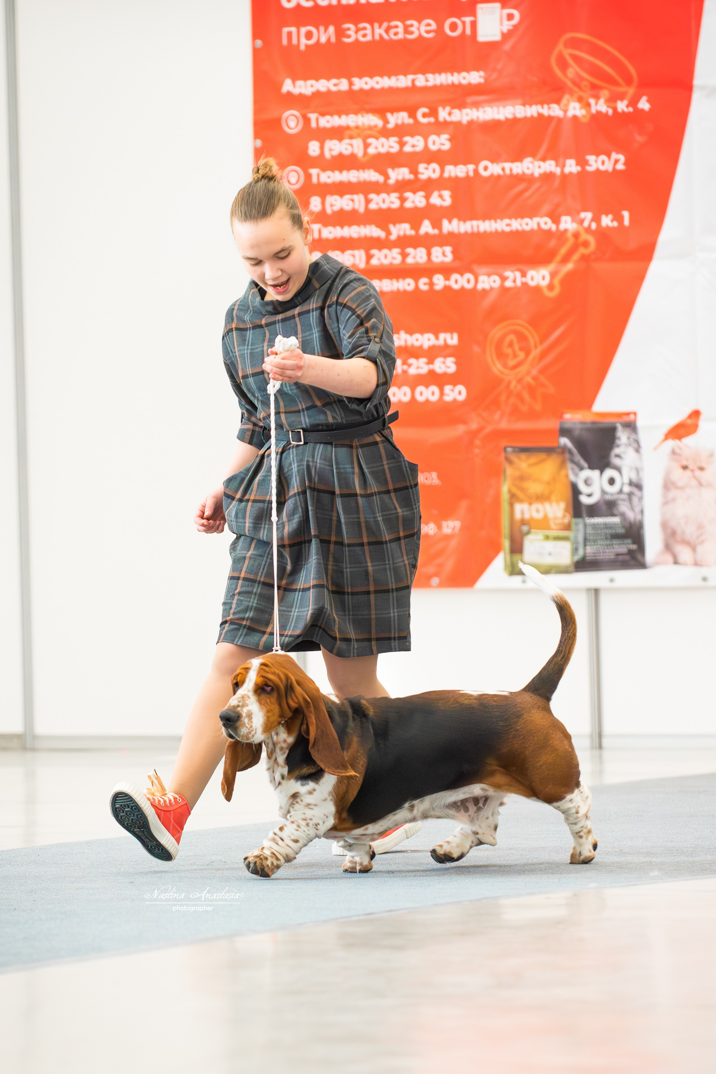 Выставки. Фотограф — Анималист