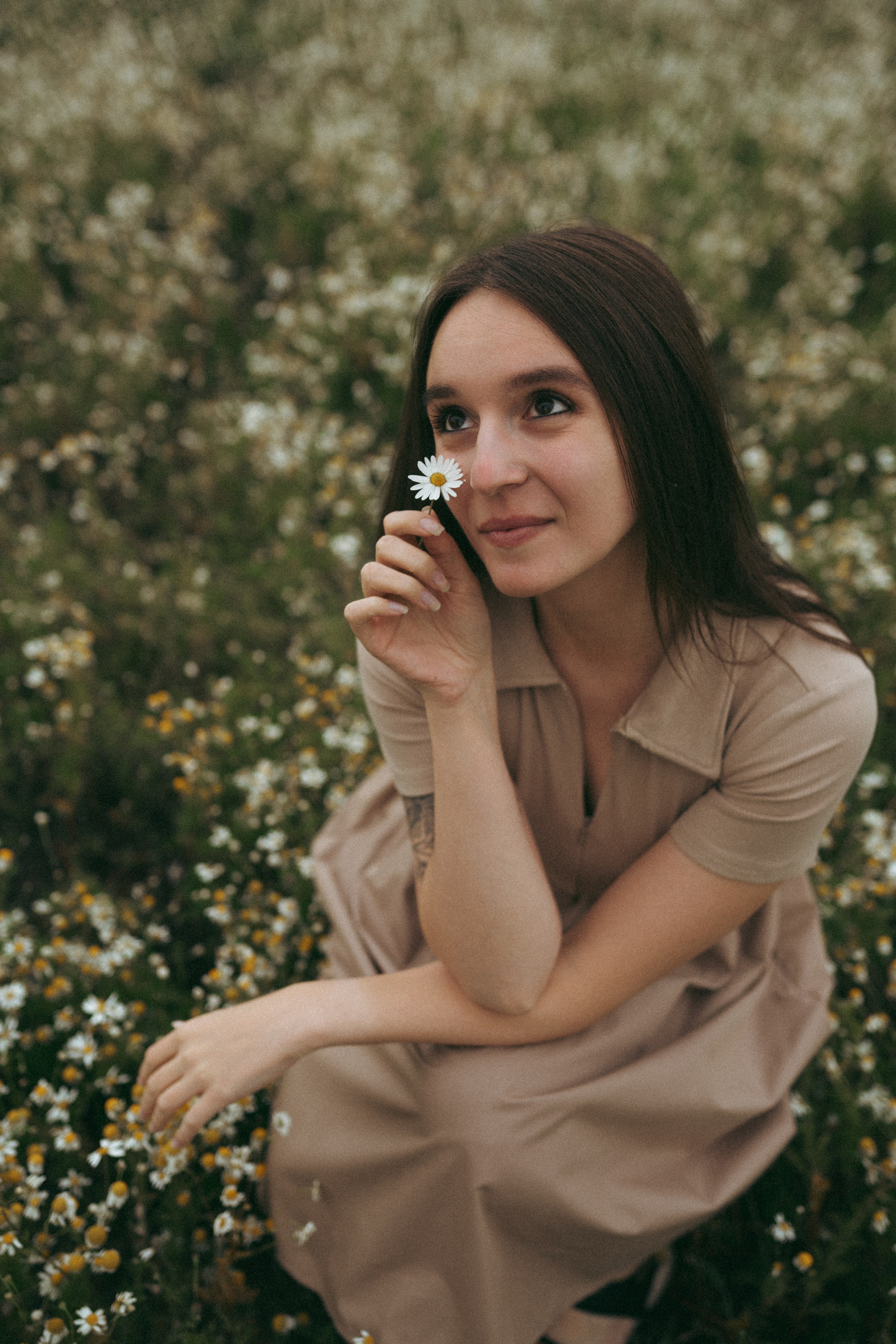 Ромашки. Фотограф Мария Зайчик