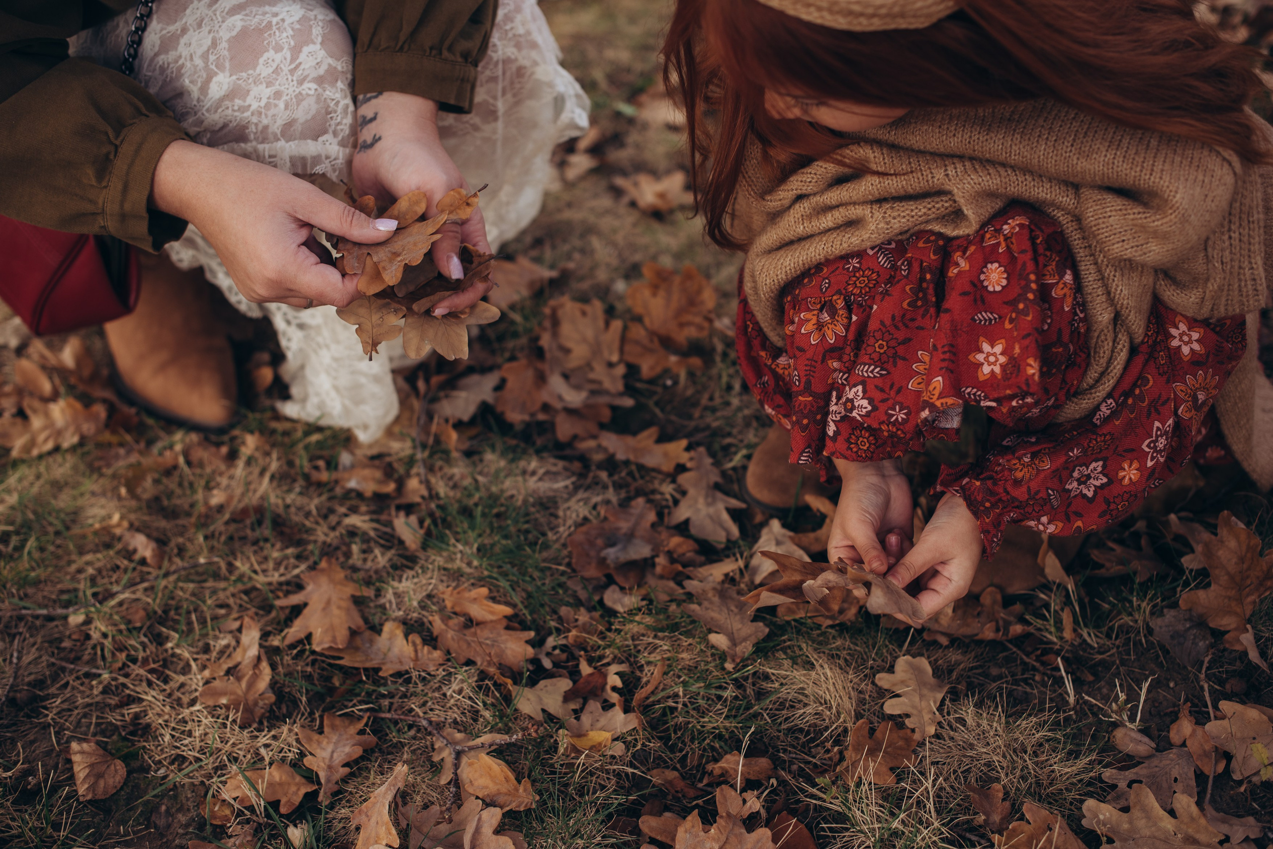 Family. Главная