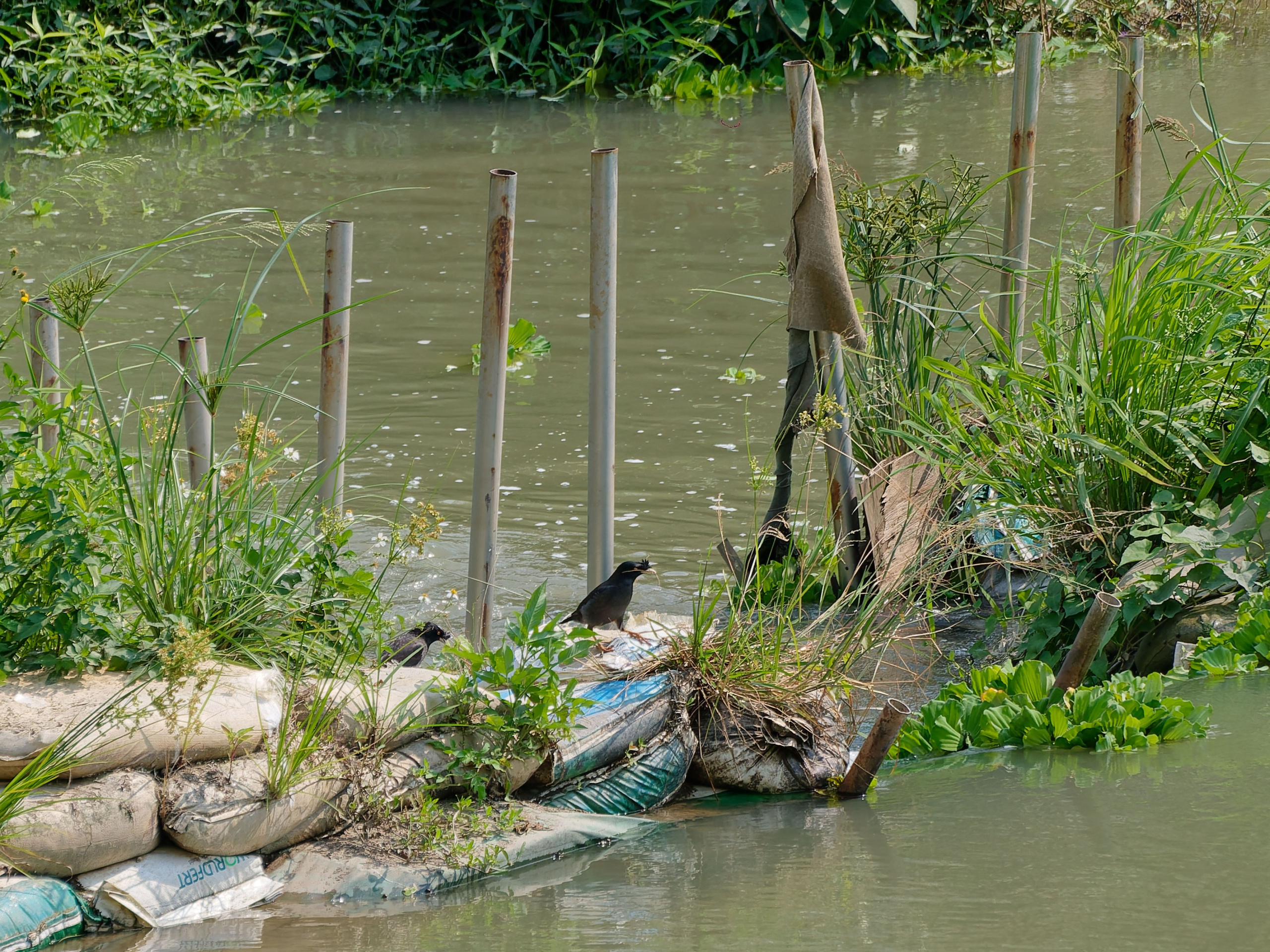 Хайнань 2026, Санья, Торговый центр «Joy City». Фотопрогулки по Миру