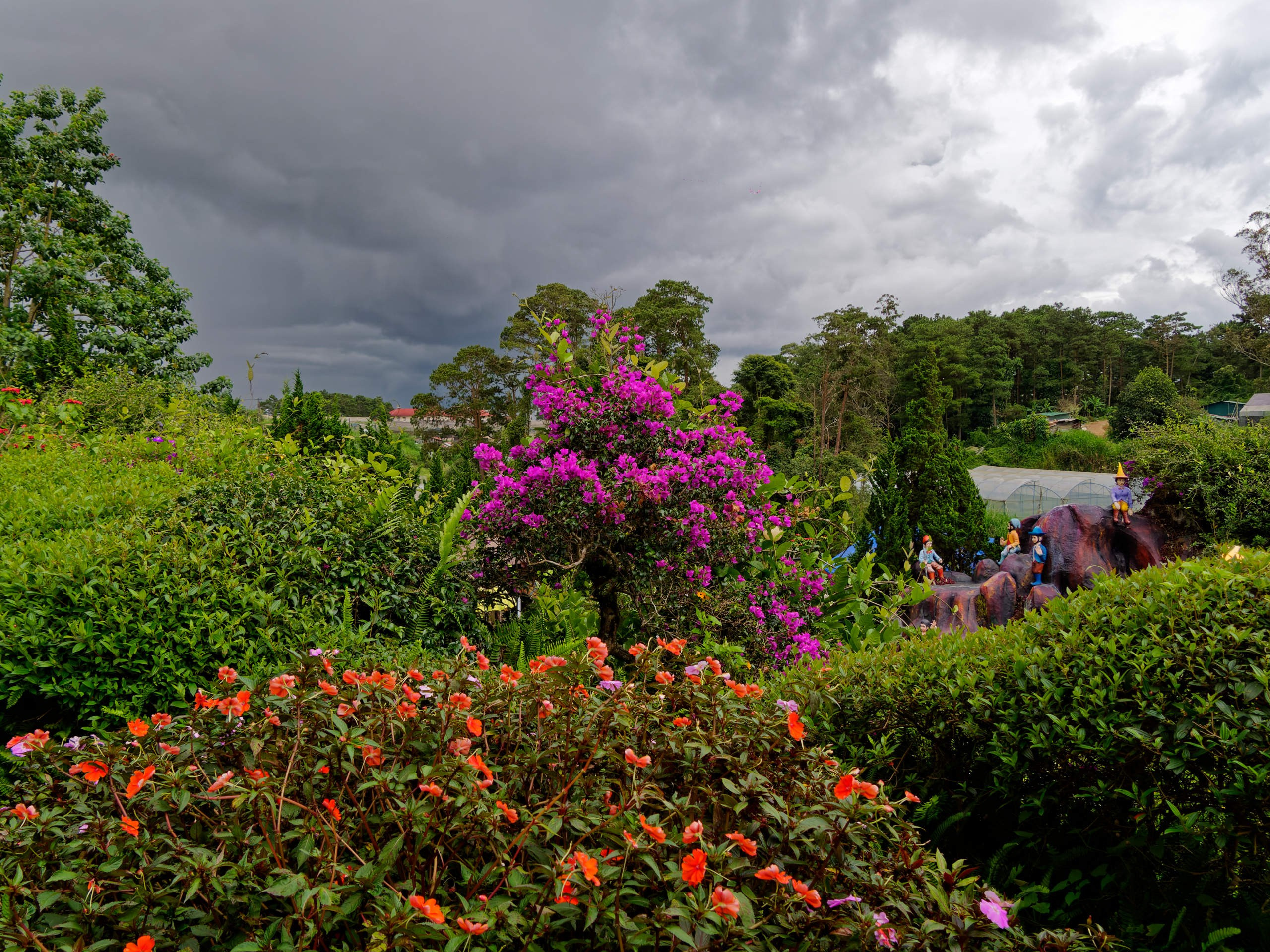 Далат 2023. Избранные фотографии