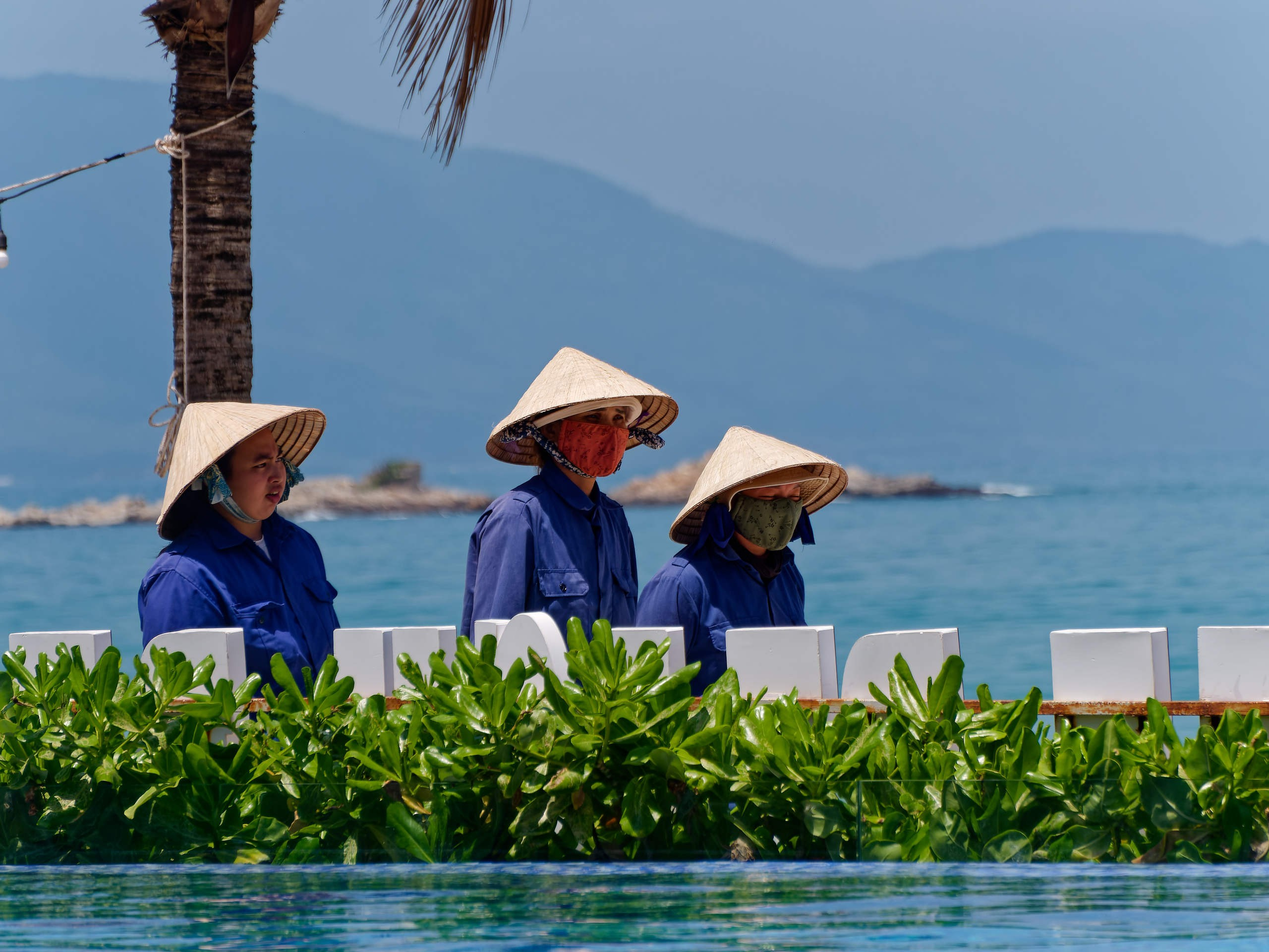 Нячанг 2025 (6). Избранные фотографии