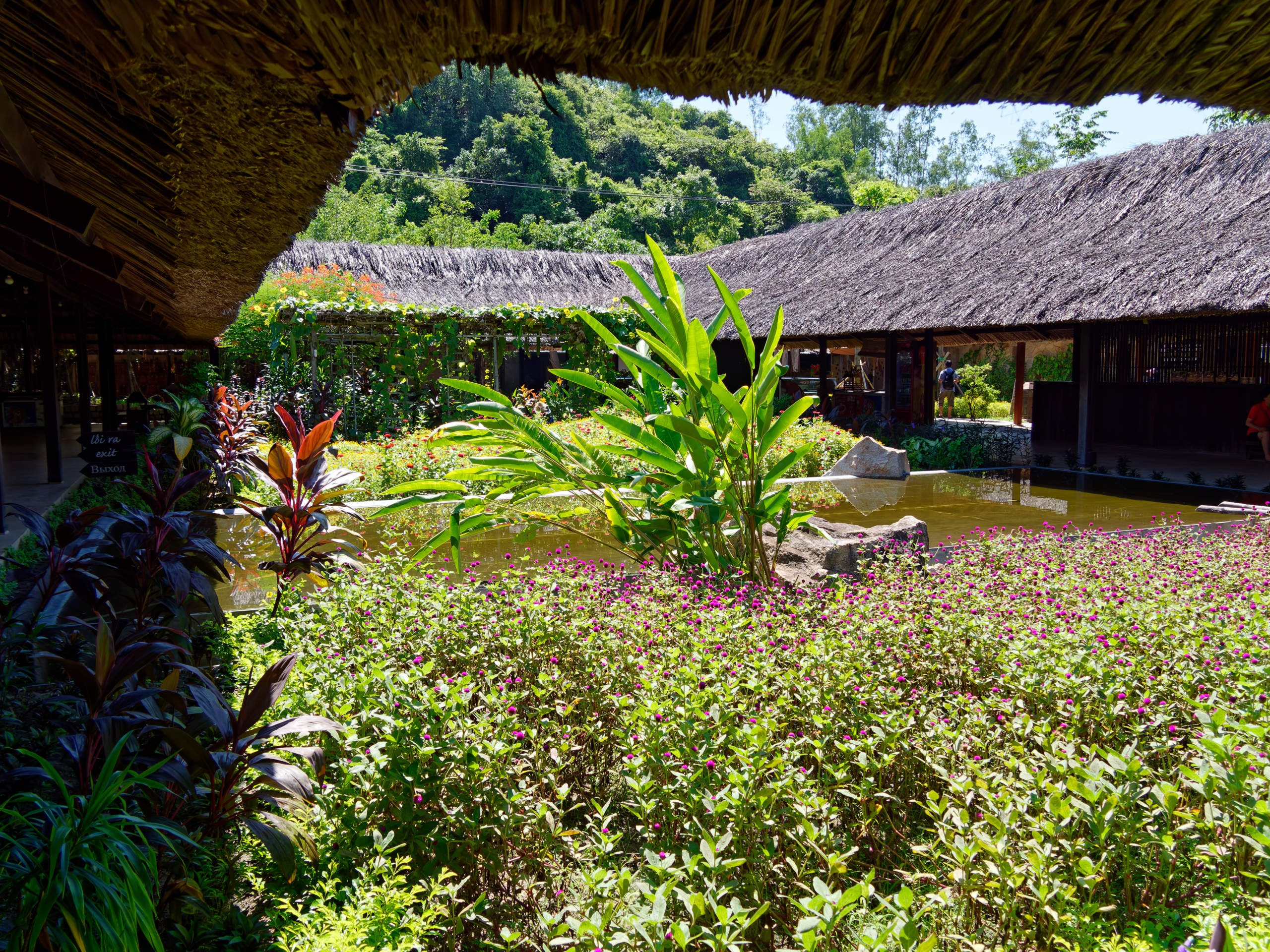 Нячанг 2023. Избранные фотографии