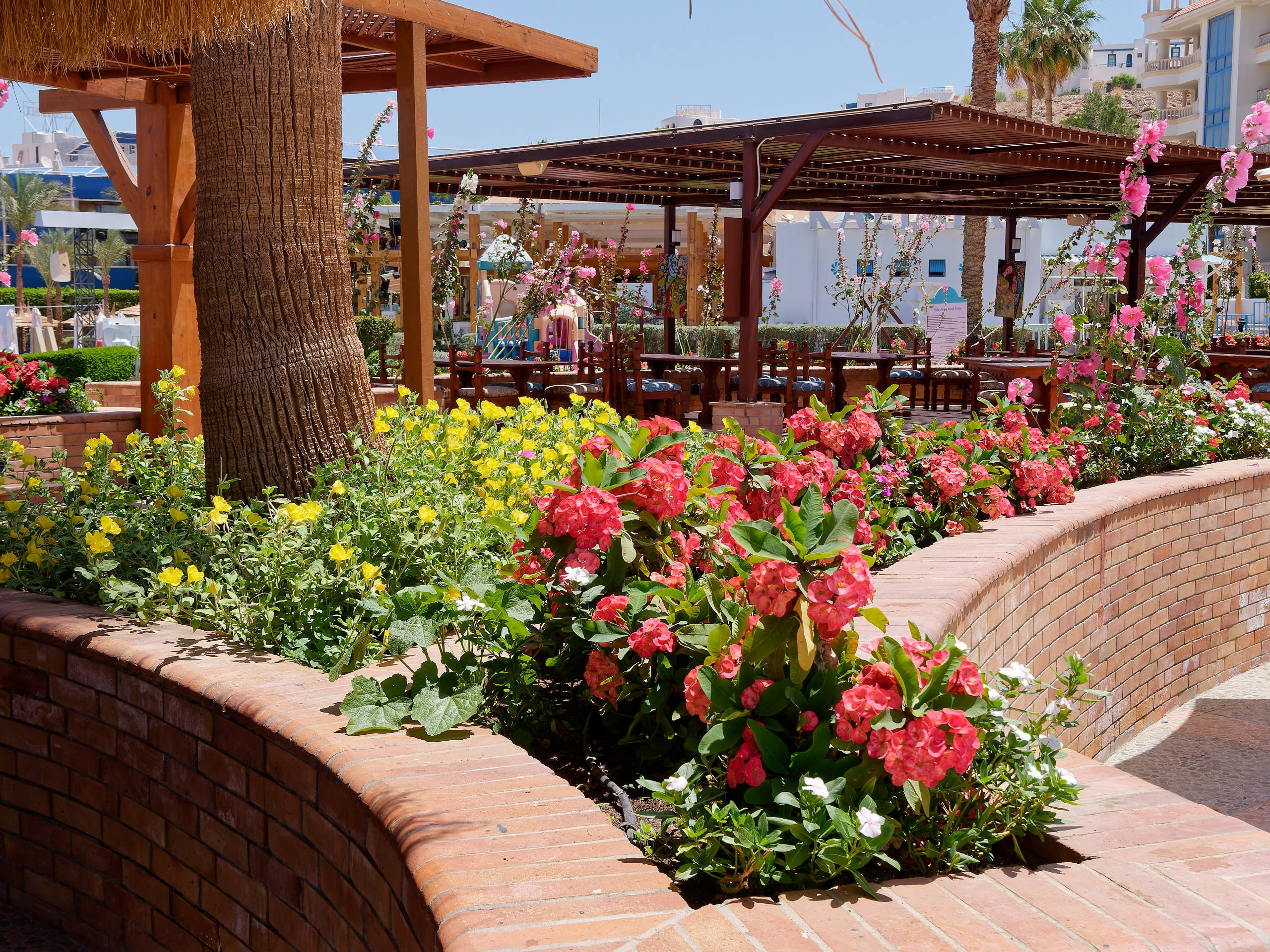 Шарм-эль-Шейх 2022 (1). Избранные фотографии