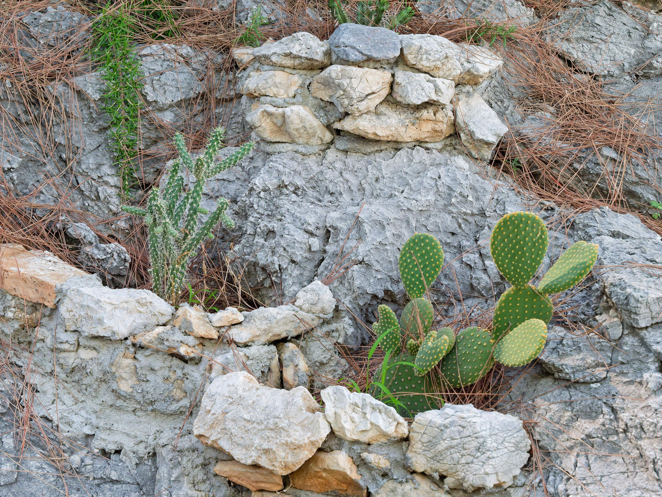 Алания 2025, крепость Alanya Kalesi. Избранные фотографии