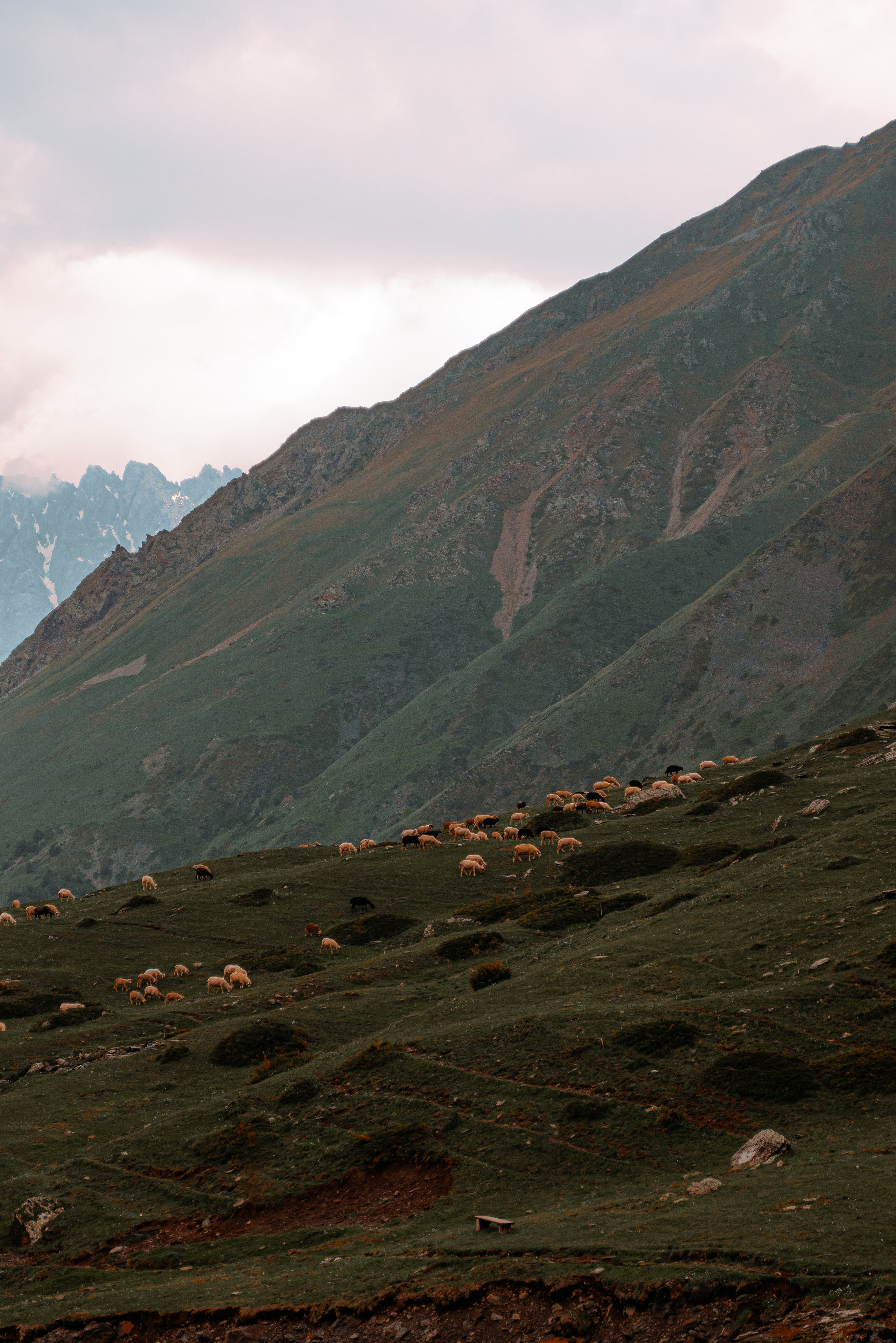 Пейзаж. Фотограф Кантемир Бараов