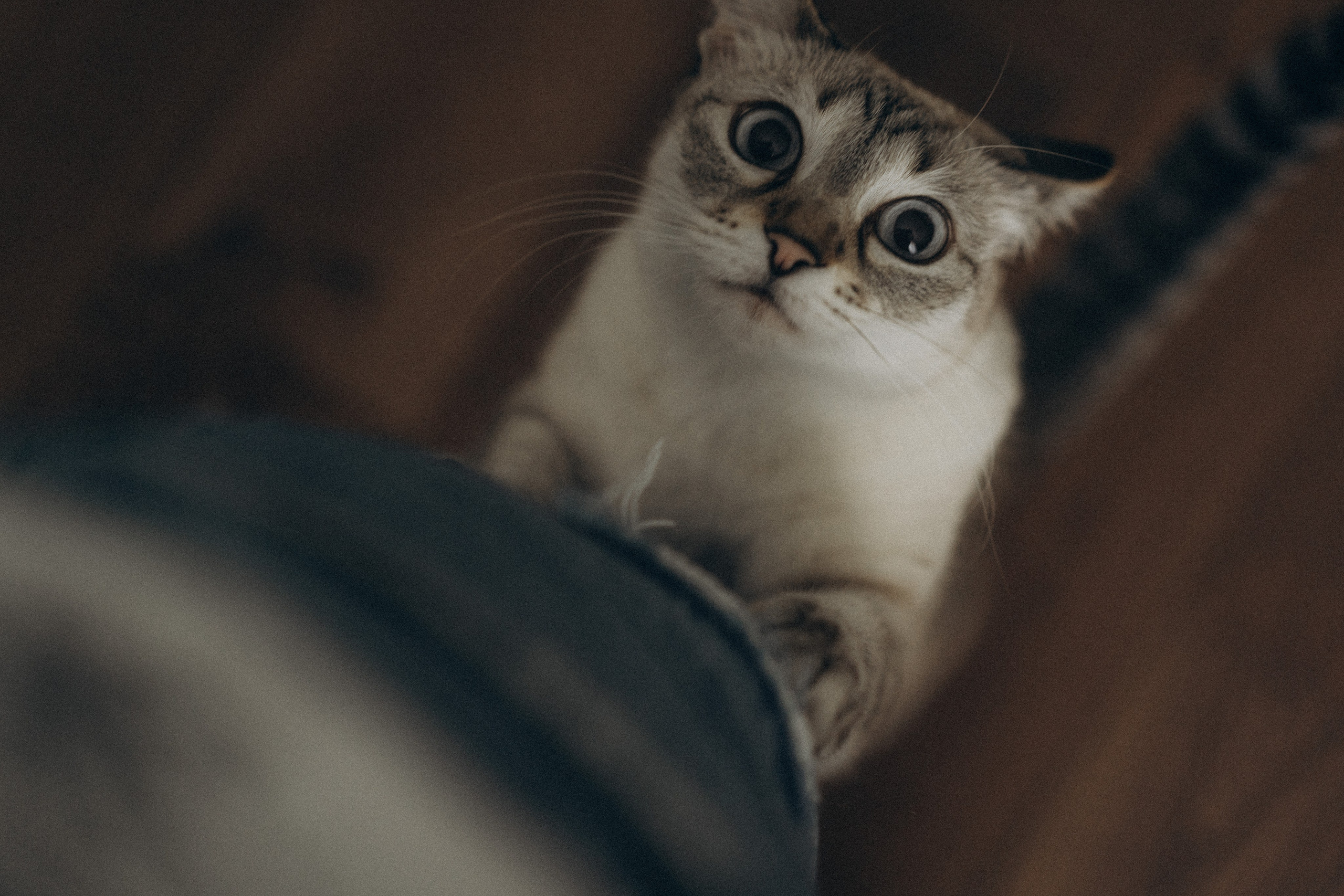 Семейный lifestyle фотограф в Ростове-на-Дону