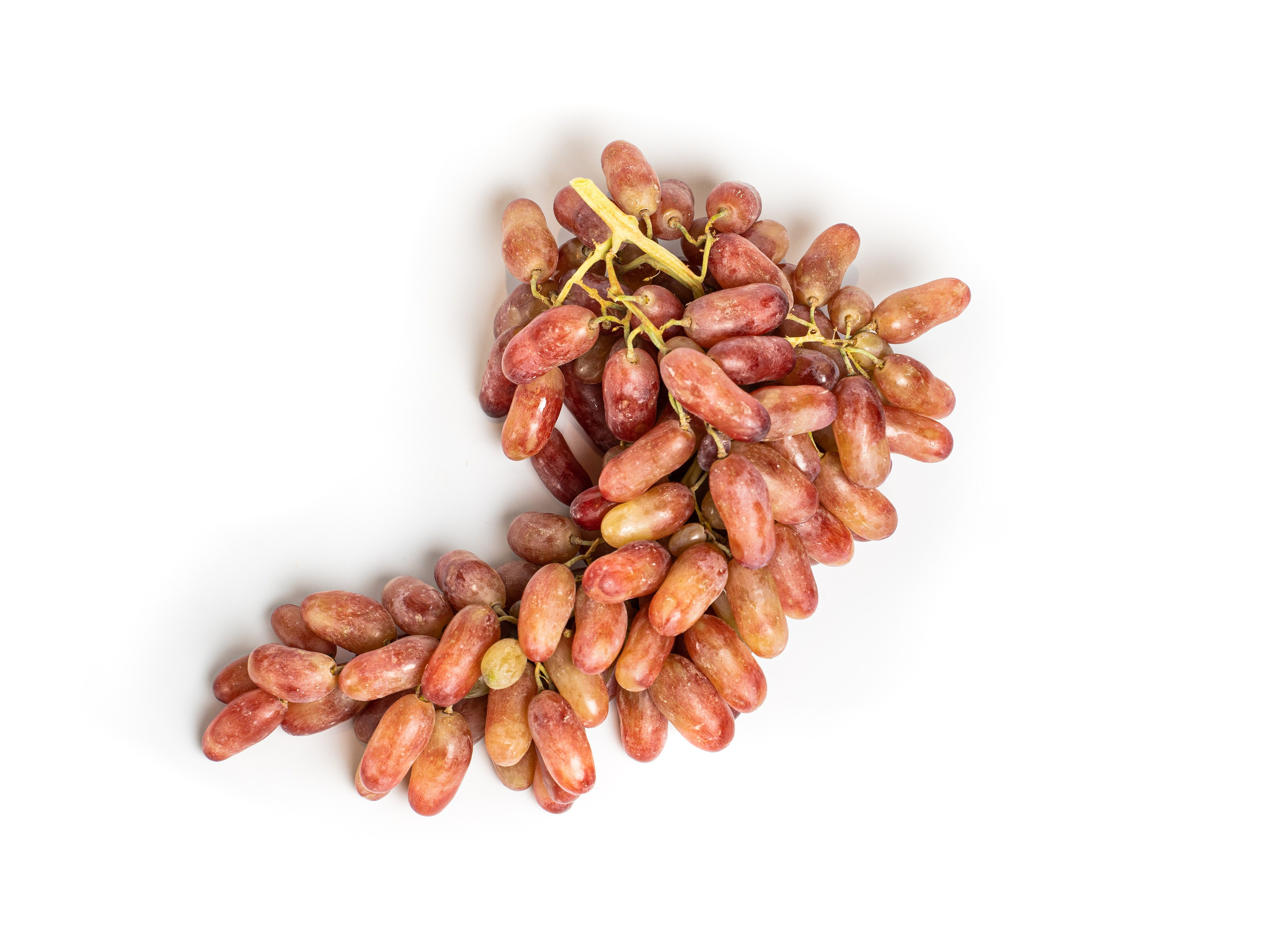 Яндекс Маркет. Предметный и фуд-фотограф в Москве Анна Царенко