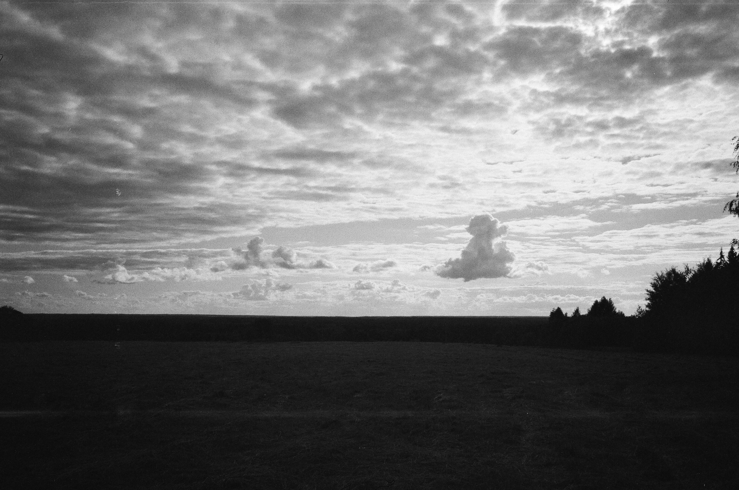 Summer in S. Pavlov Arts