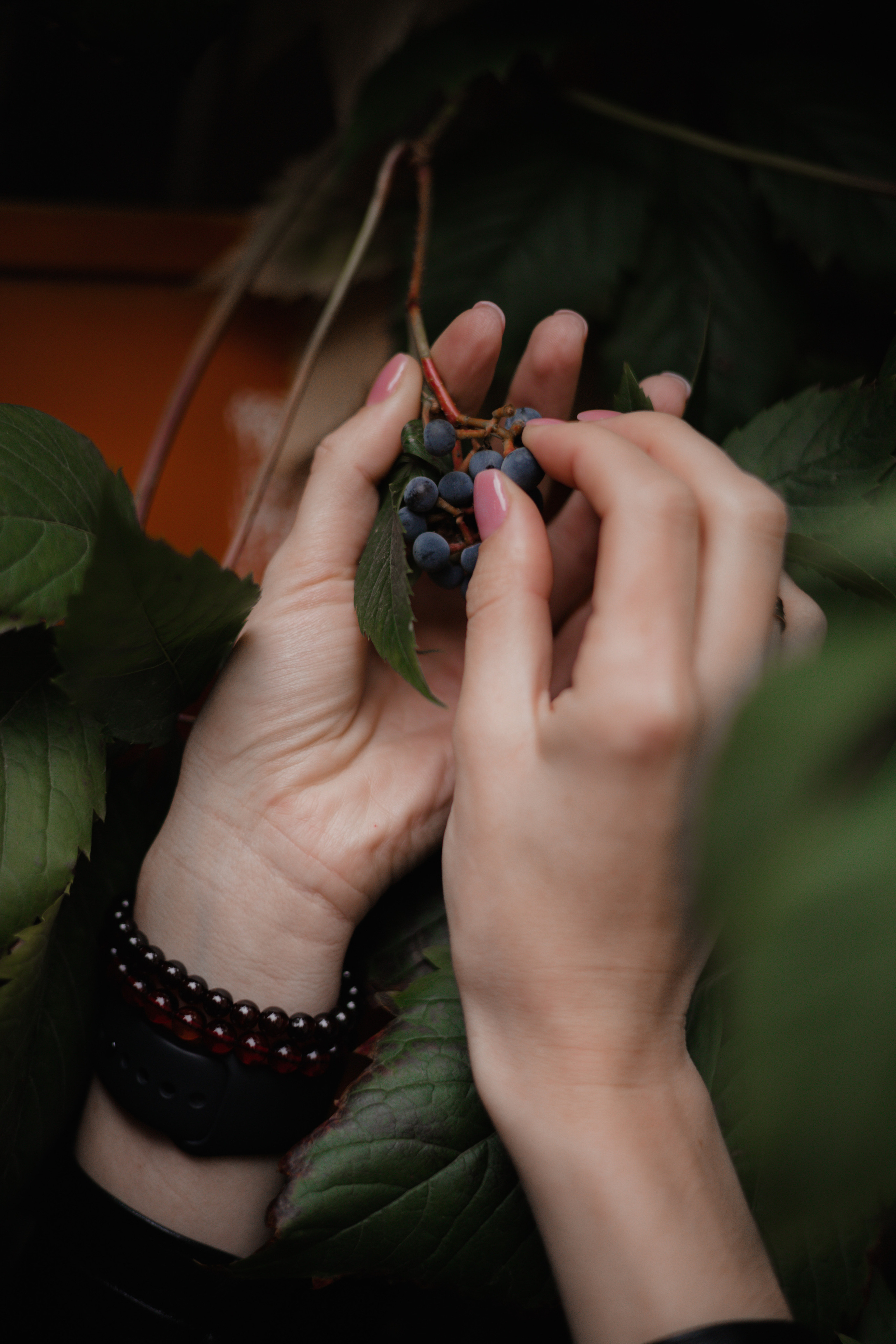 Фотограф биробиджан. Детский и семейный фотограф  Биробиджан Оля Светагор