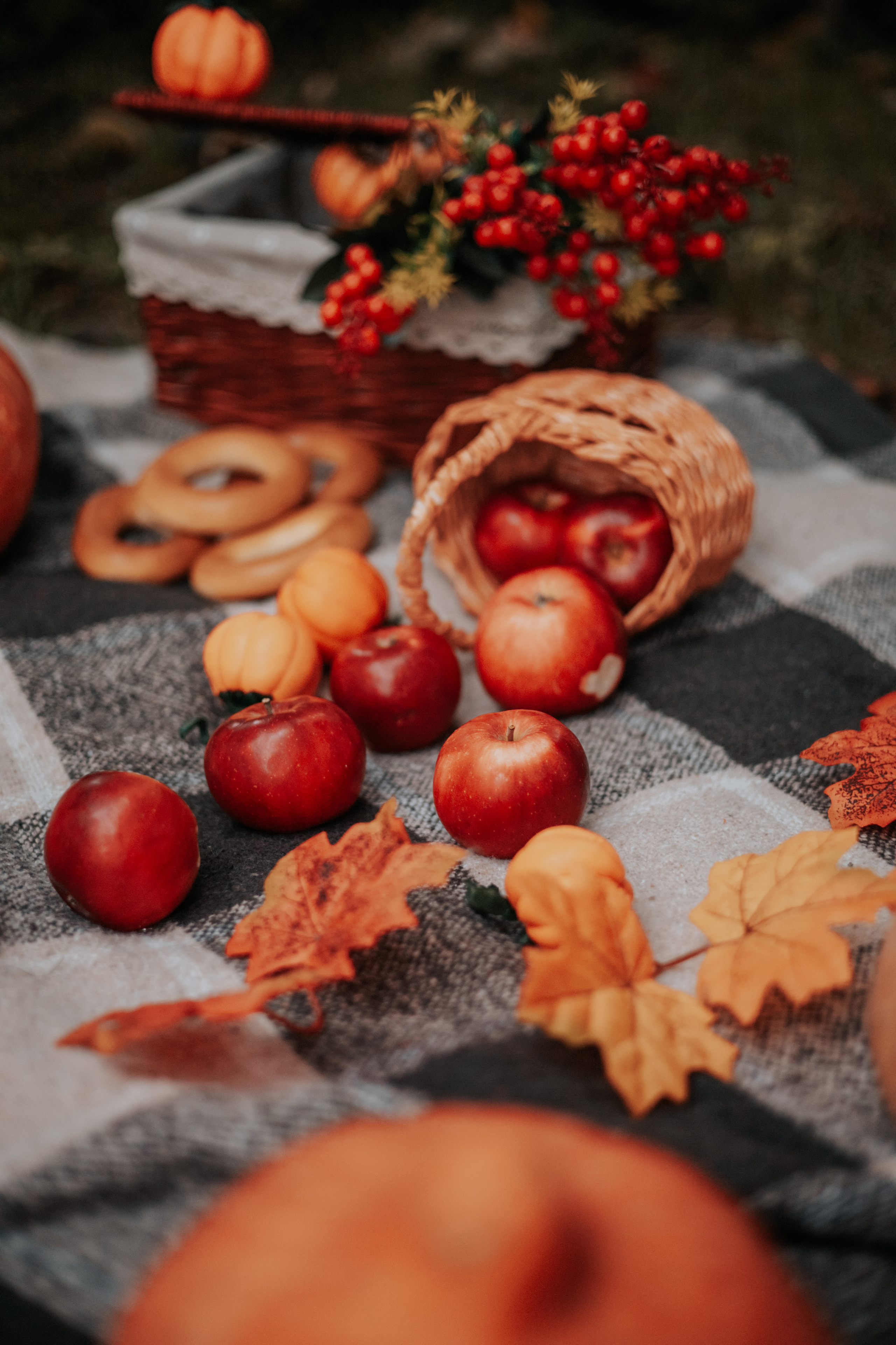 Детский семейный фотограф. Детский и семейный фотограф  Биробиджан Оля Светагор