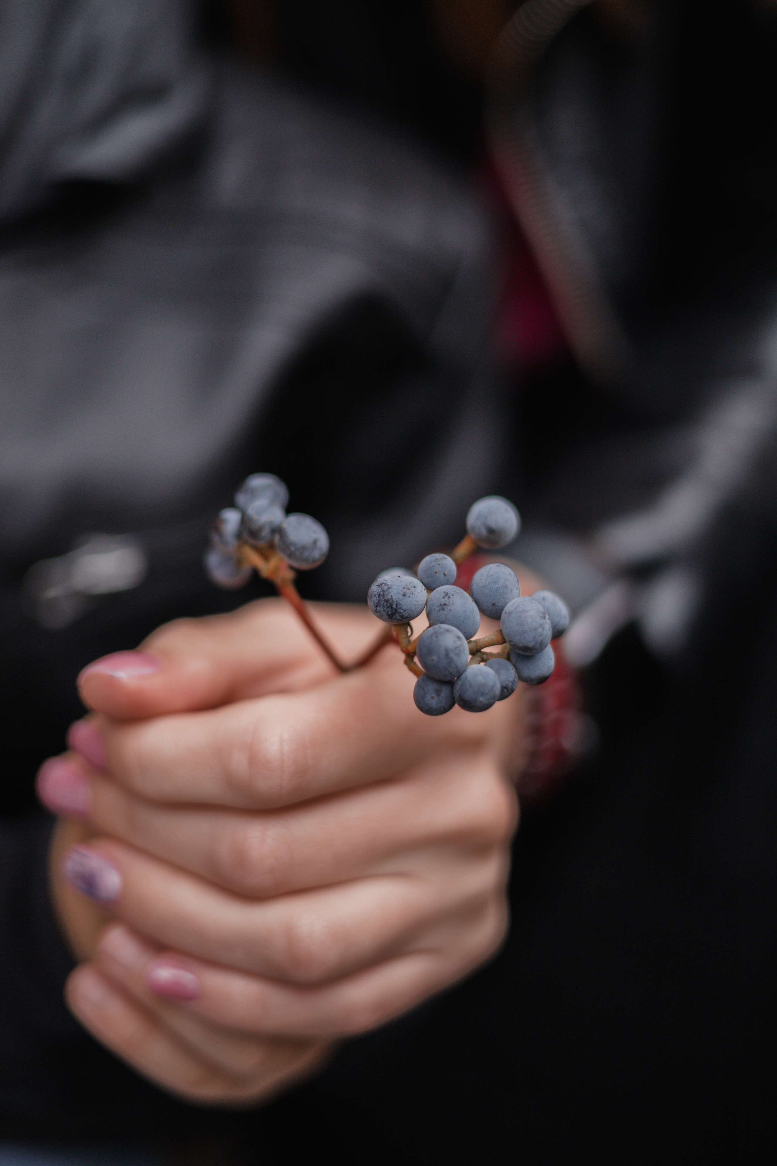 Детский семейный фотограф. Детский и семейный фотограф  Биробиджан Оля Светагор