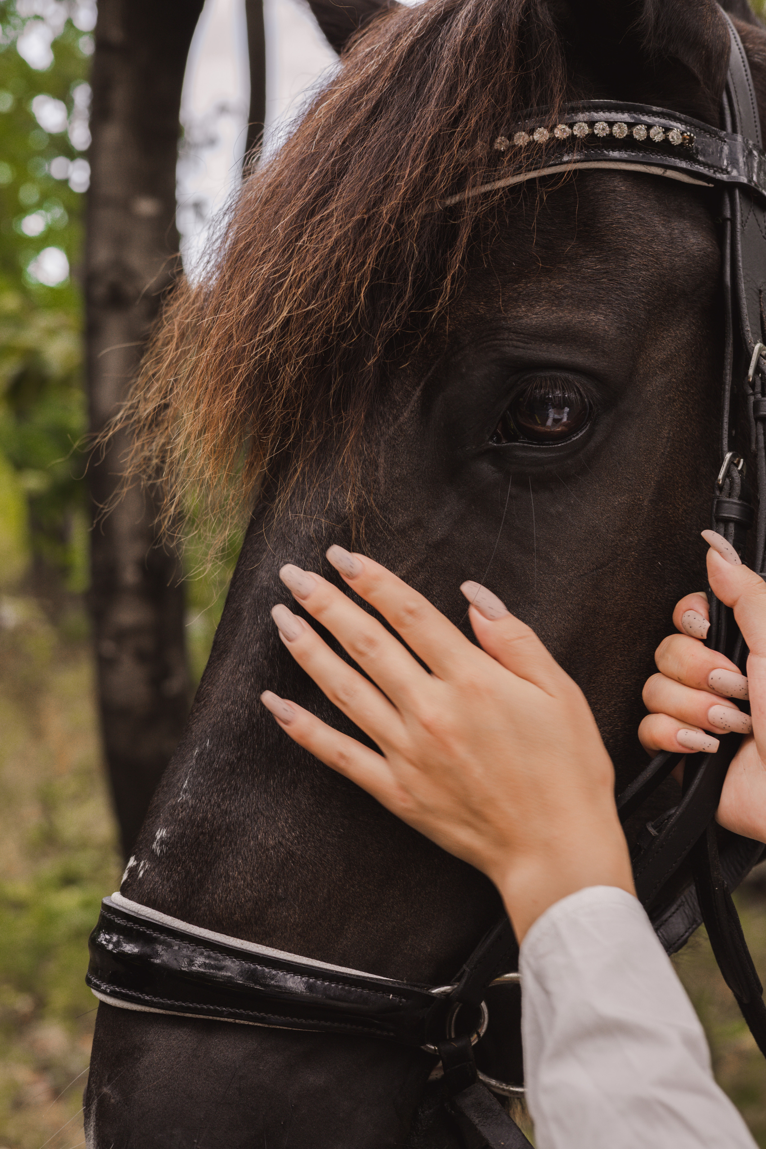 Фотограф биробиджан. Детский и семейный фотограф  Биробиджан Оля Светагор