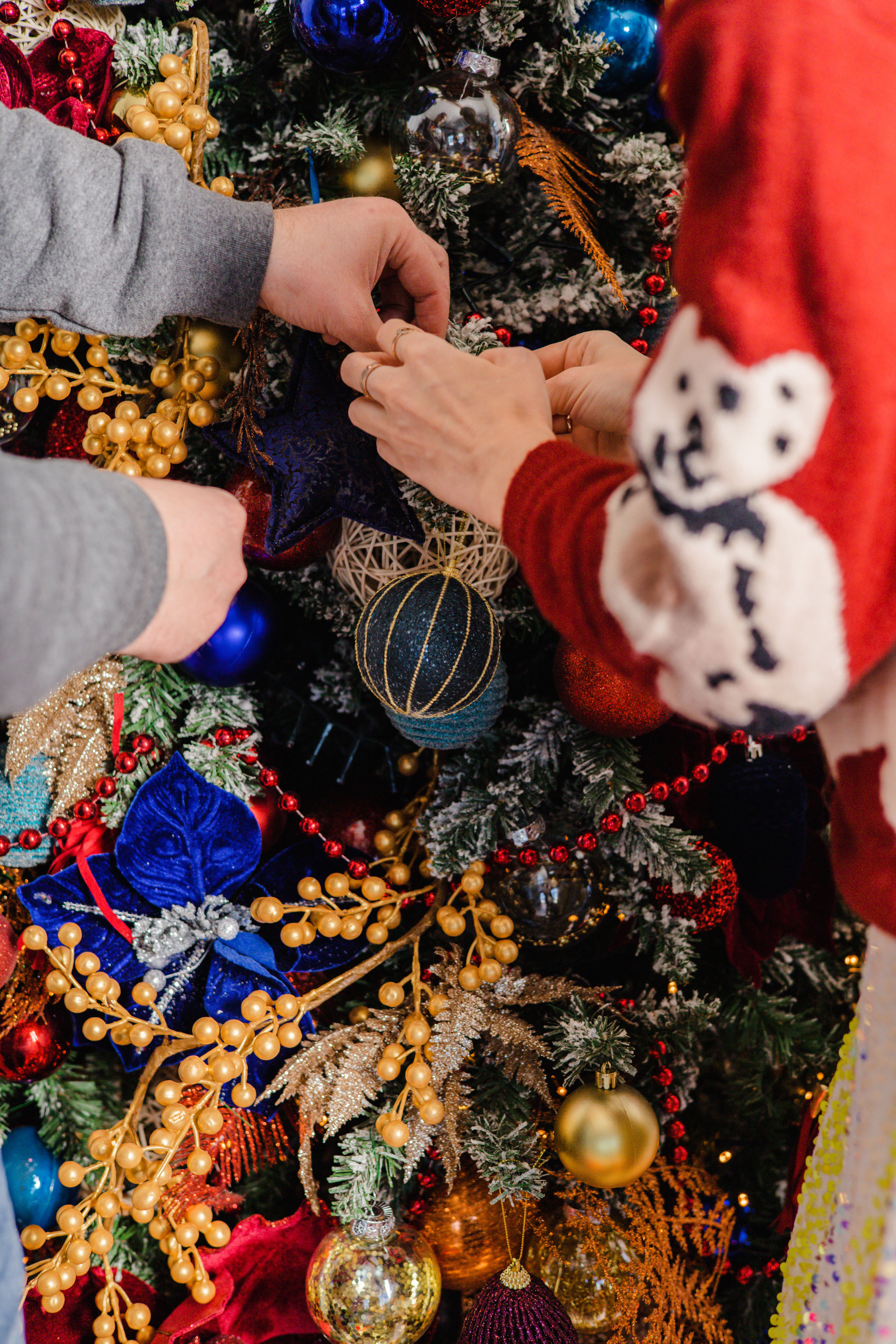 Фотограф биробиджан. Детский и семейный фотограф  Биробиджан Оля Светагор
