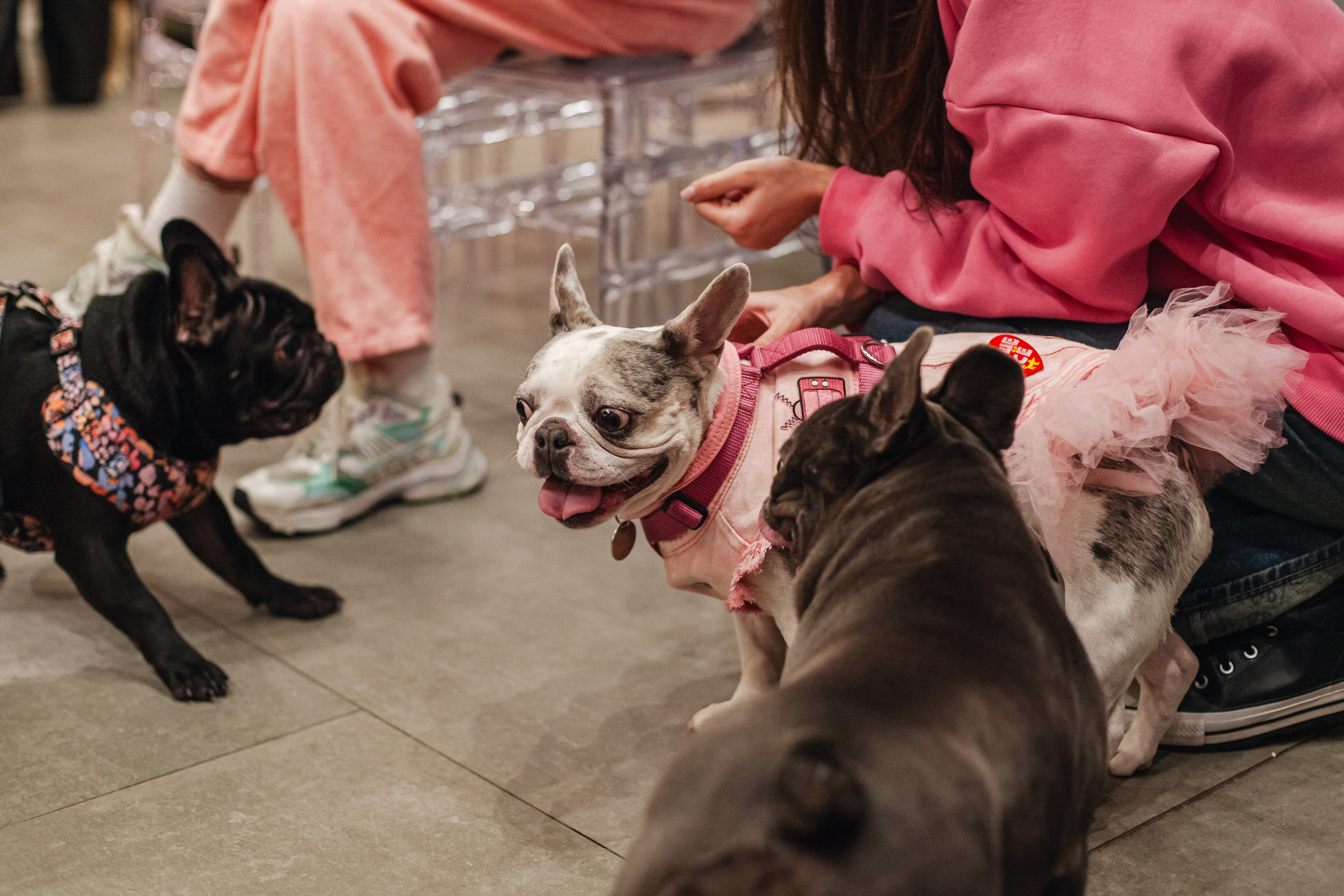 Бульёлка 2024. Фотограф-анималист Татьяна Степанова