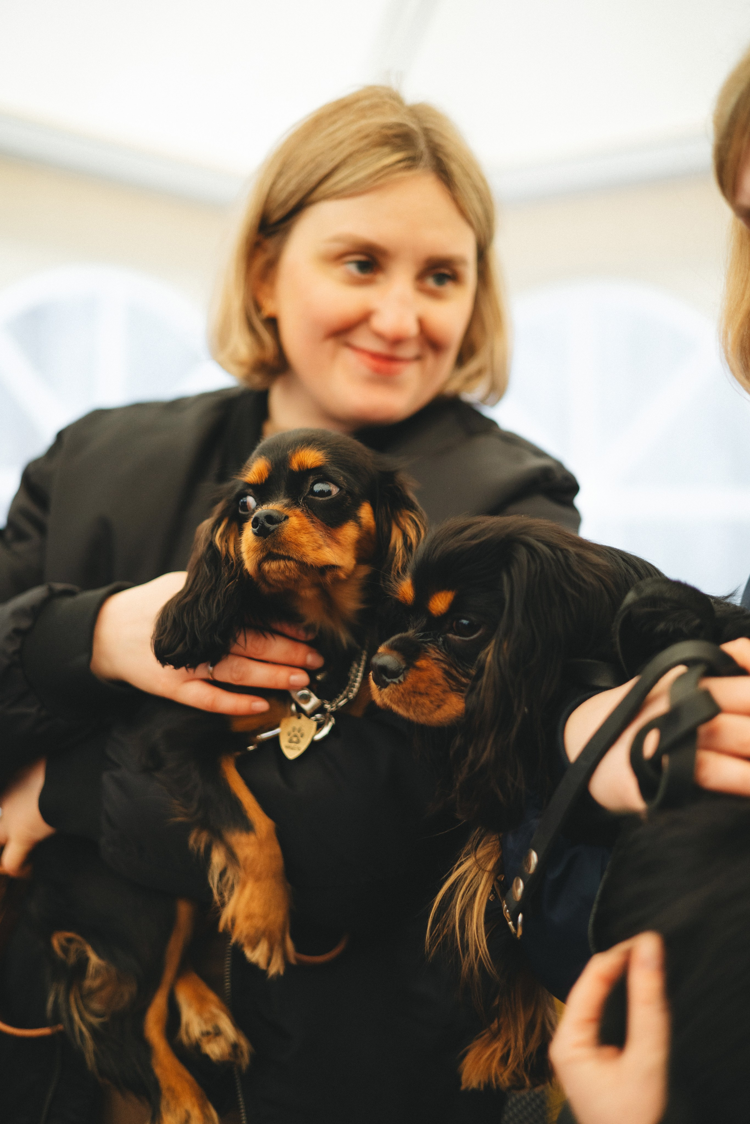 Встреча ККЧС. Фотограф анималист Осипчикова Мария