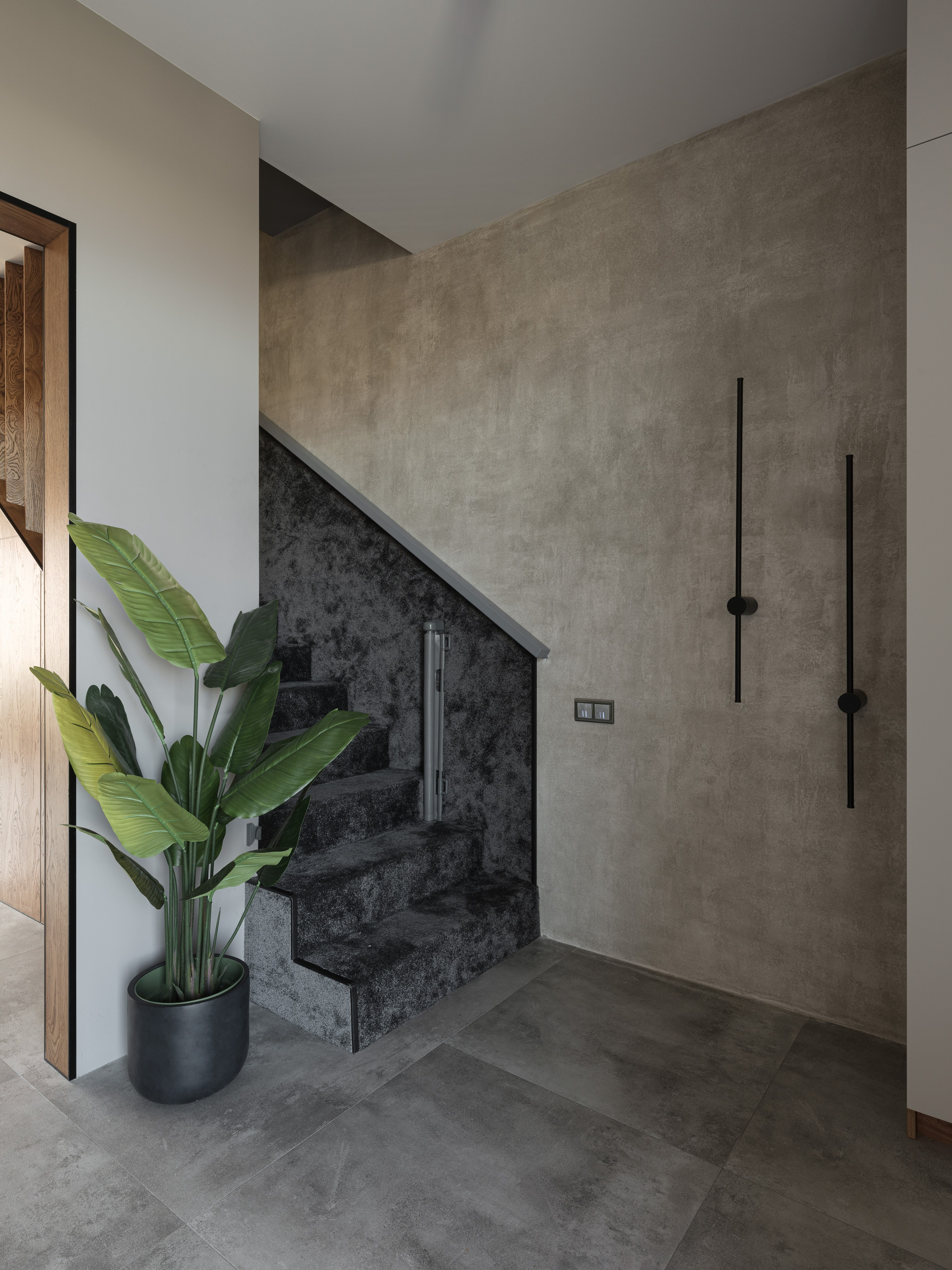 Интерьер лестничного холла в стиле минимализм с фактурными стенами под бетон и зелёным растением в горшке. Эстетика пространства, созданная дизайнером Алиной Дёровой, стилистом Натальей Якушевой и запечатлённая фотографом Сергеем Денисенко.