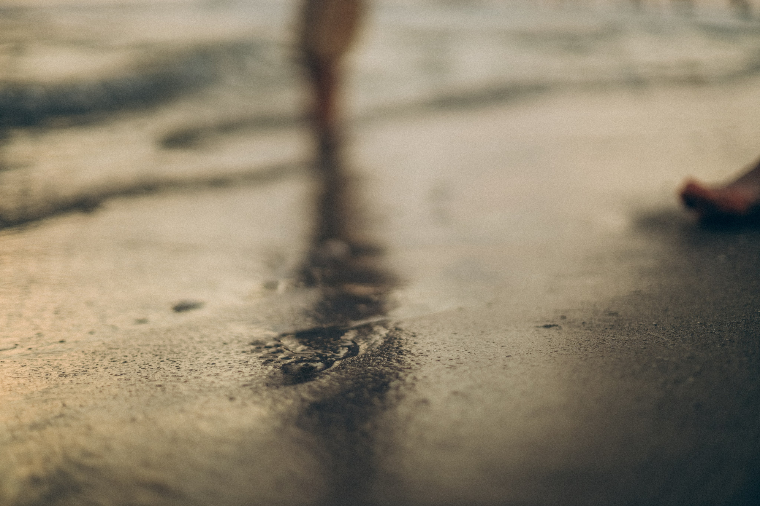 Мария, Данир, Тимур и Михаил. Семейный фотограф Анапа