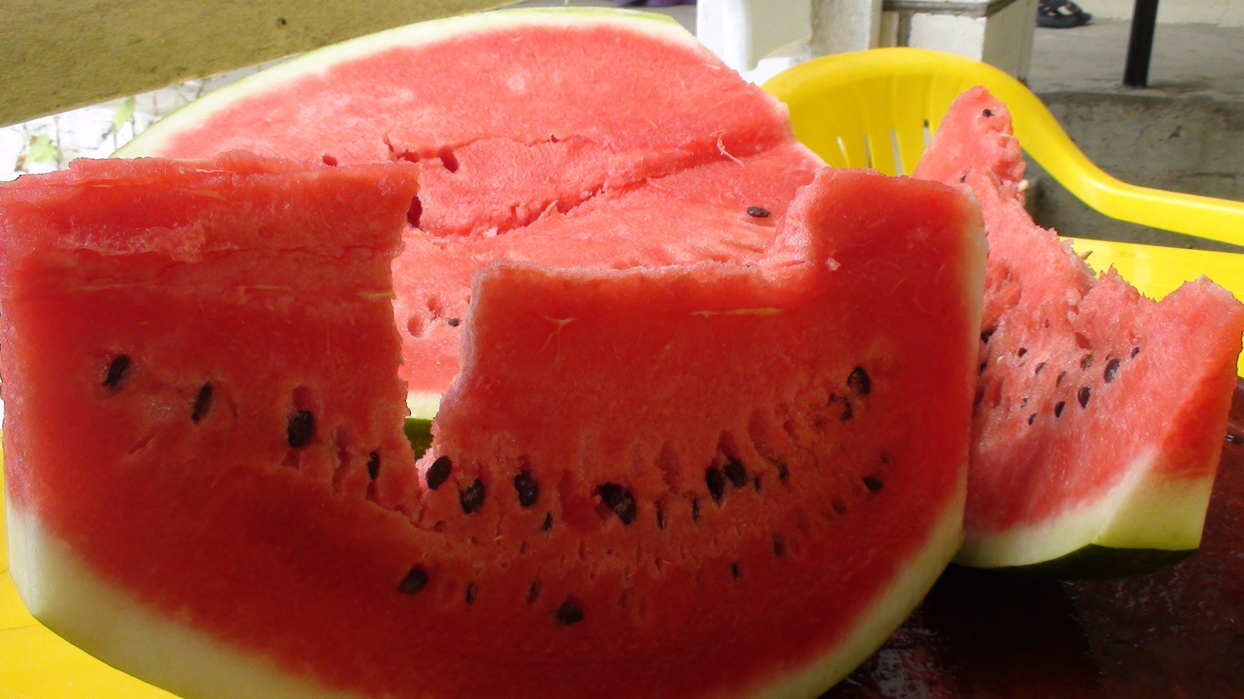 Отпуск 27.05-16.08. Семейный, Свадебный фотограф СПБ Питер— Романова Екатерина